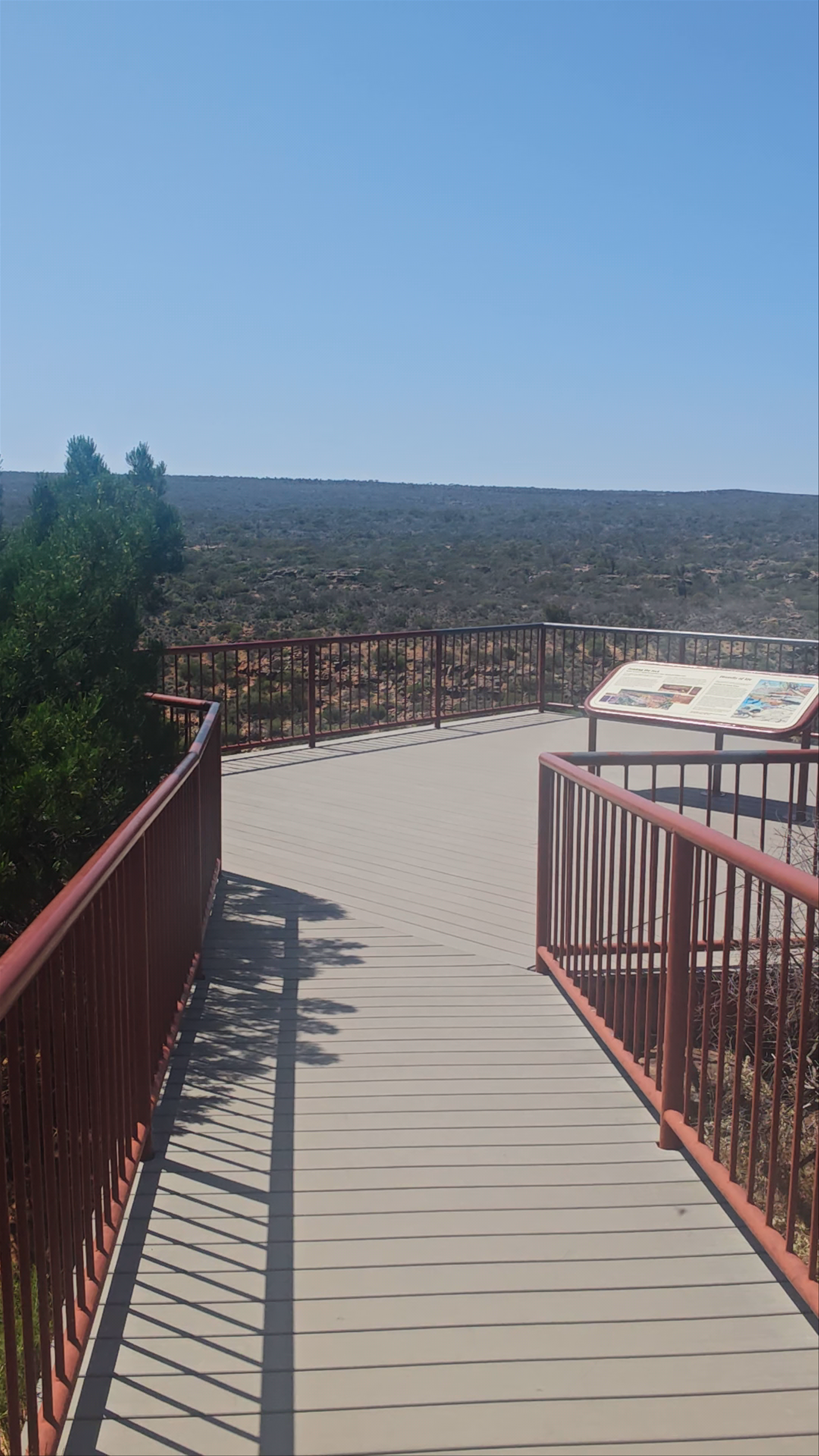 Hawks Head Lookout