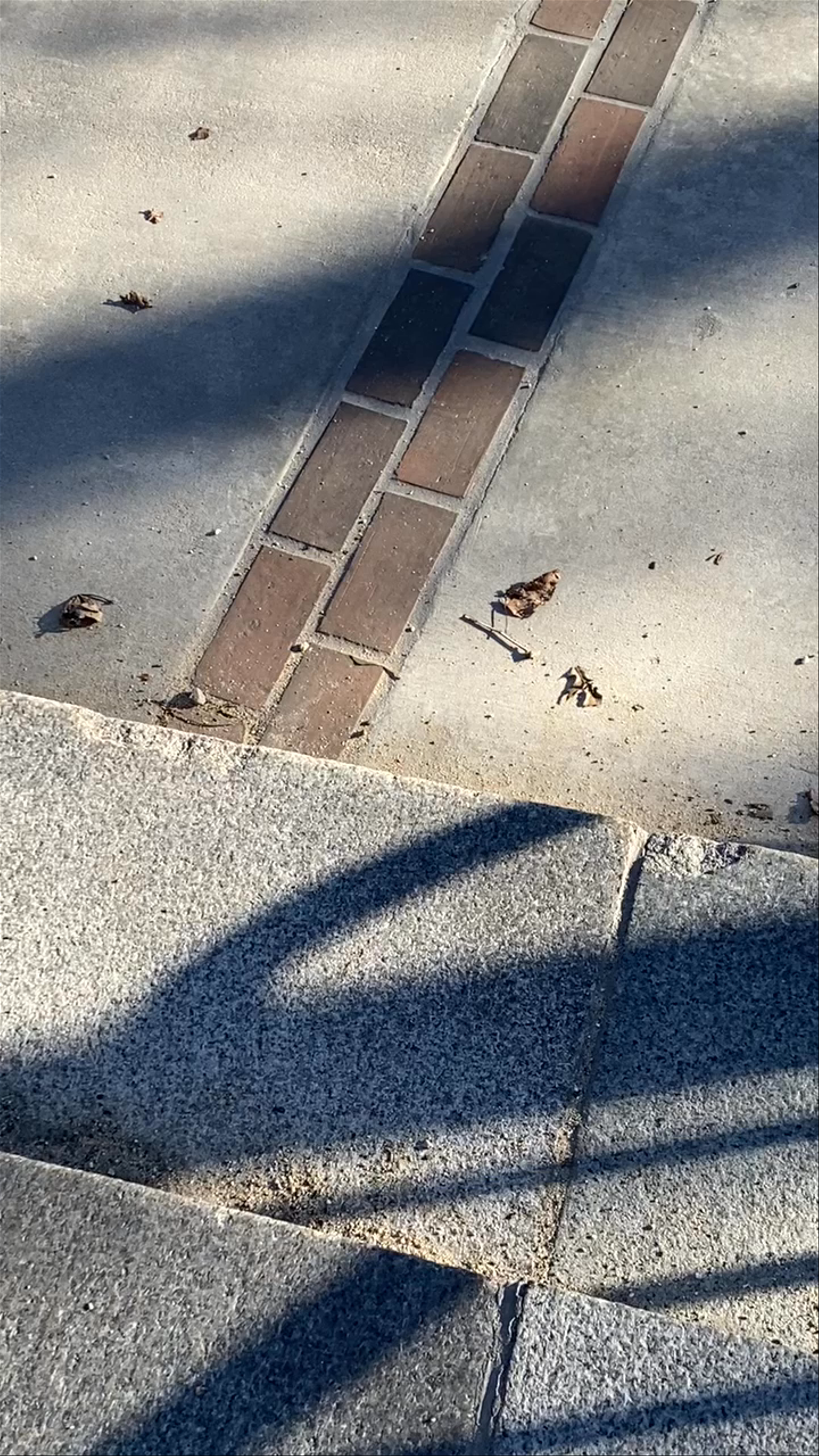 Walking the Freedom Trail: A Boston Historical Stroll Experience