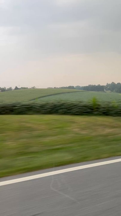 Zulk Transportation - Limos Near Me - Baltimore, Maryland