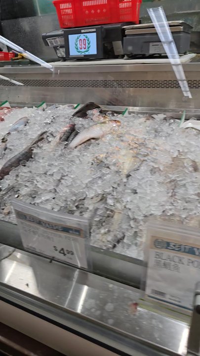 99 Ranch Market - Love the fish selection - Seafood Markets Near Me - Carrollton, Texas