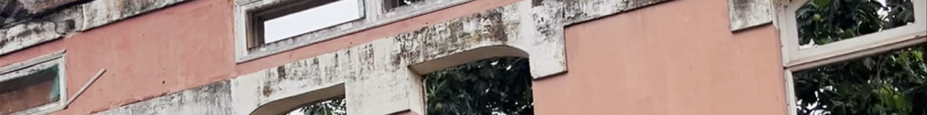 Tours & experiences in São Tomé