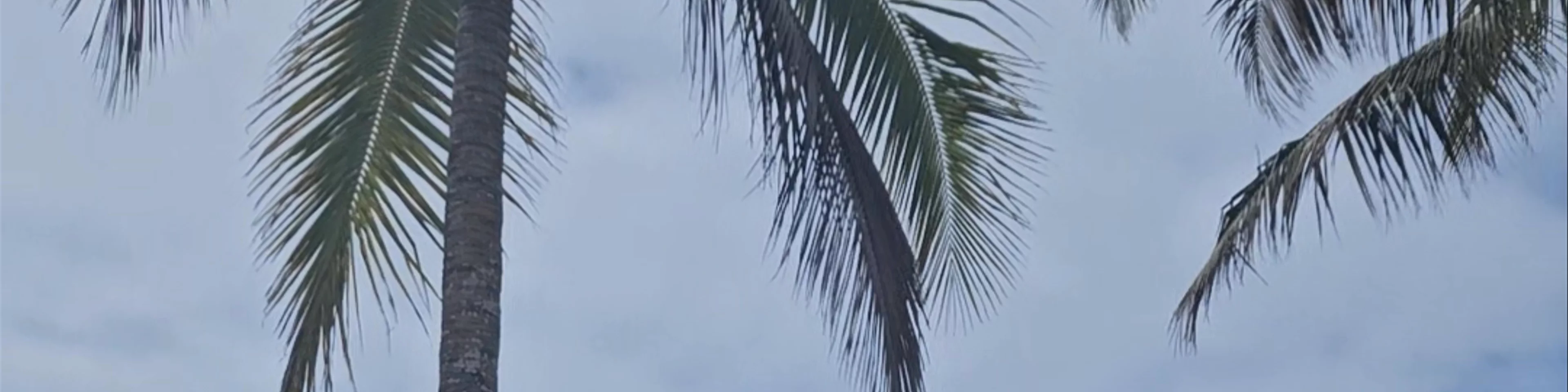 Isla Isabela