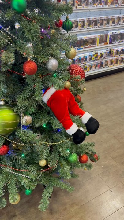 Crazy Comics - Toy Stores Near Me - Plantation, Florida