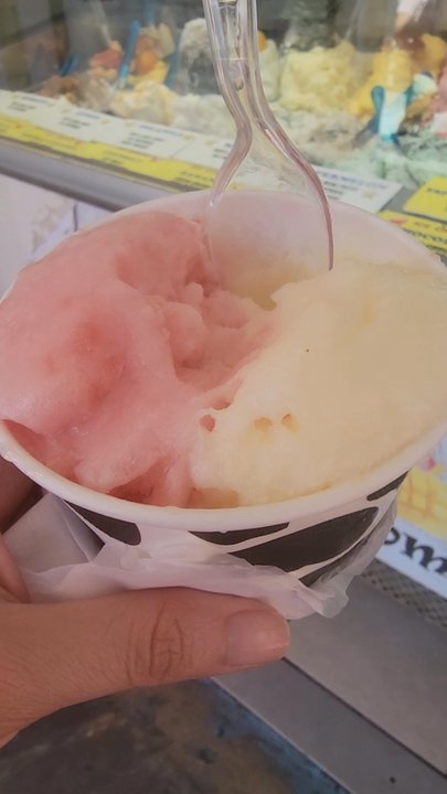 Gladiators Ice Cream - Ice Cream & Frozen Yogurt Near Me - Key West, Florida