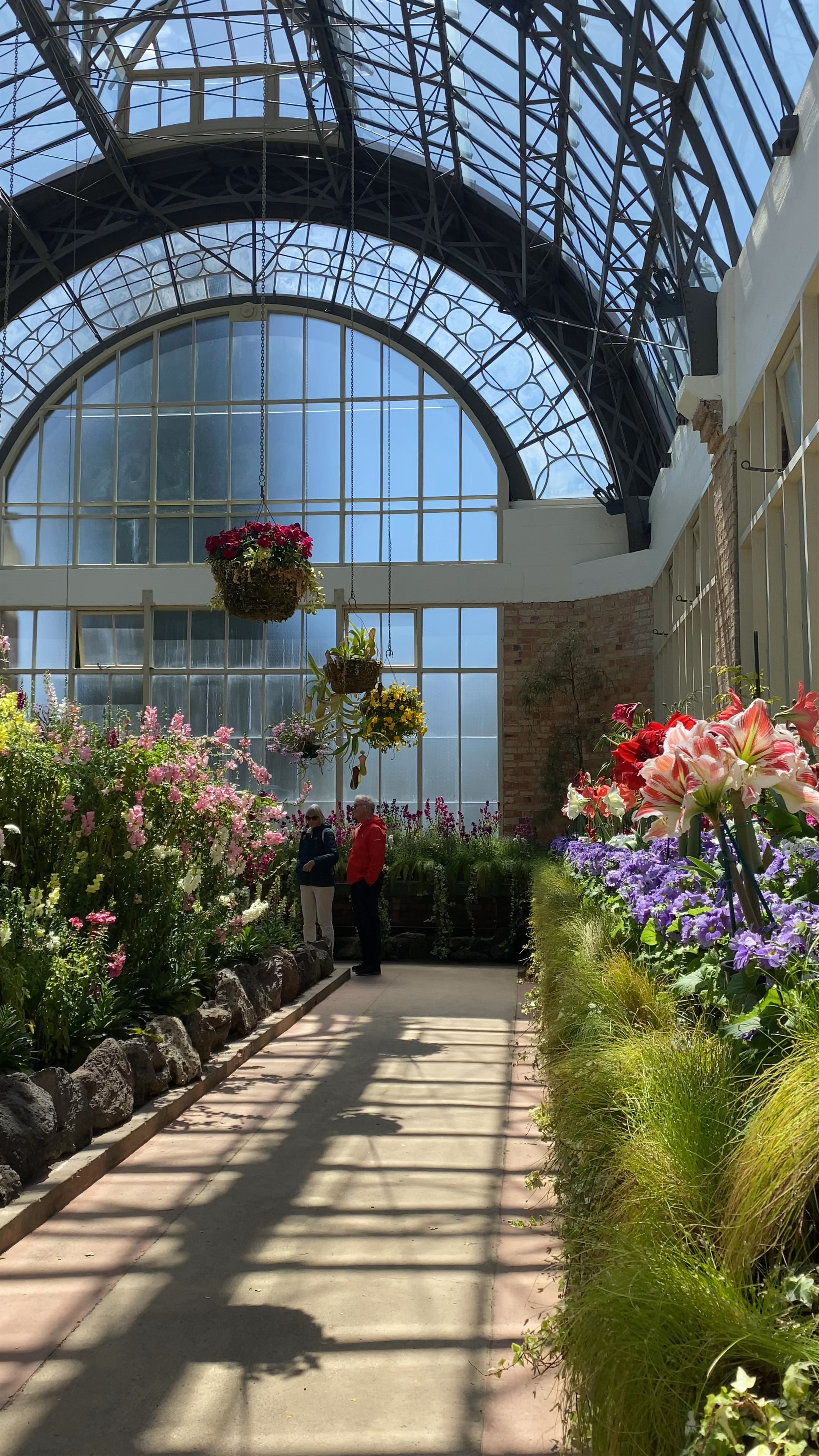 Domain Wintergardens Wintergarden Road