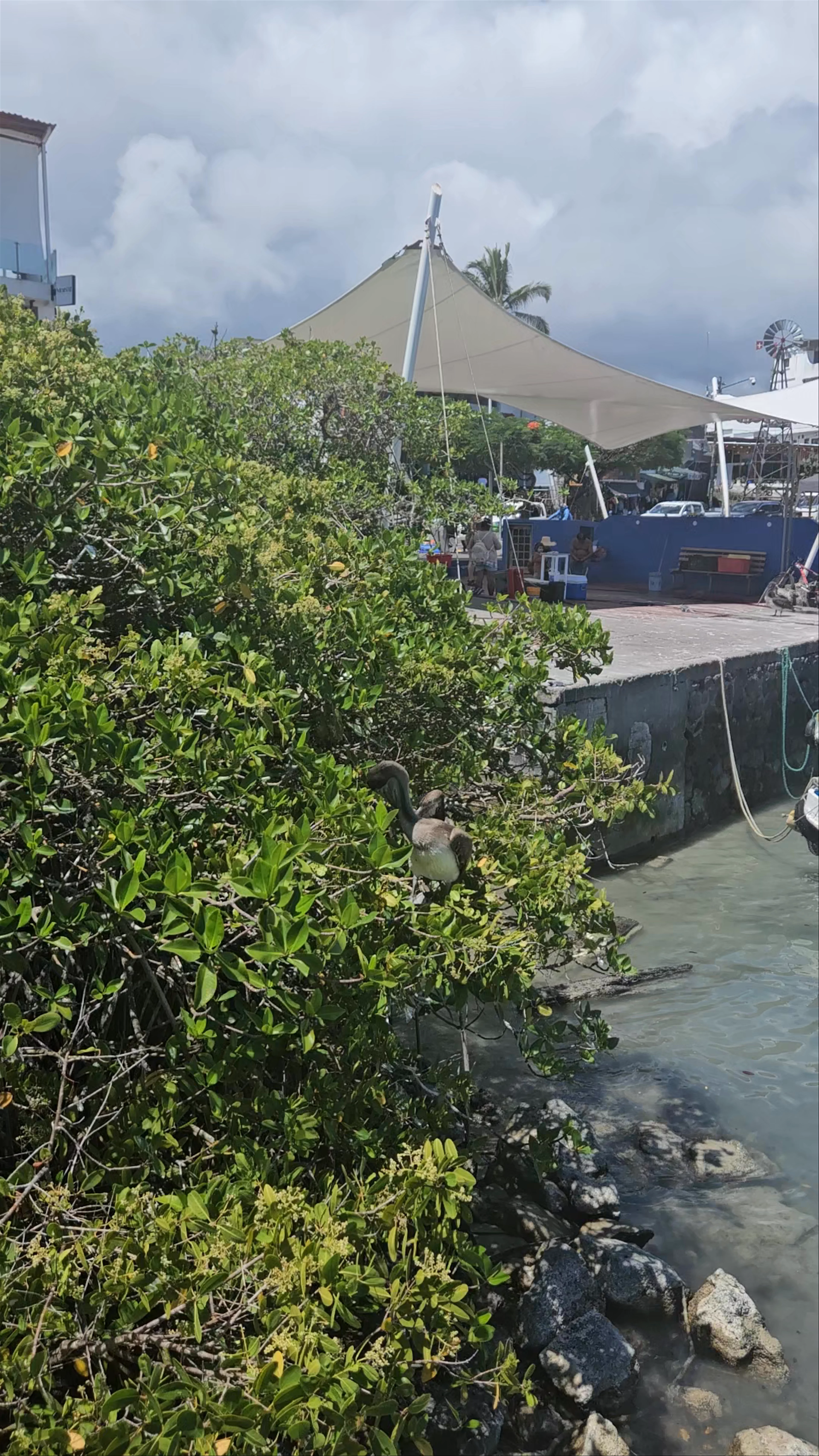 Muelle de Los Pescadores