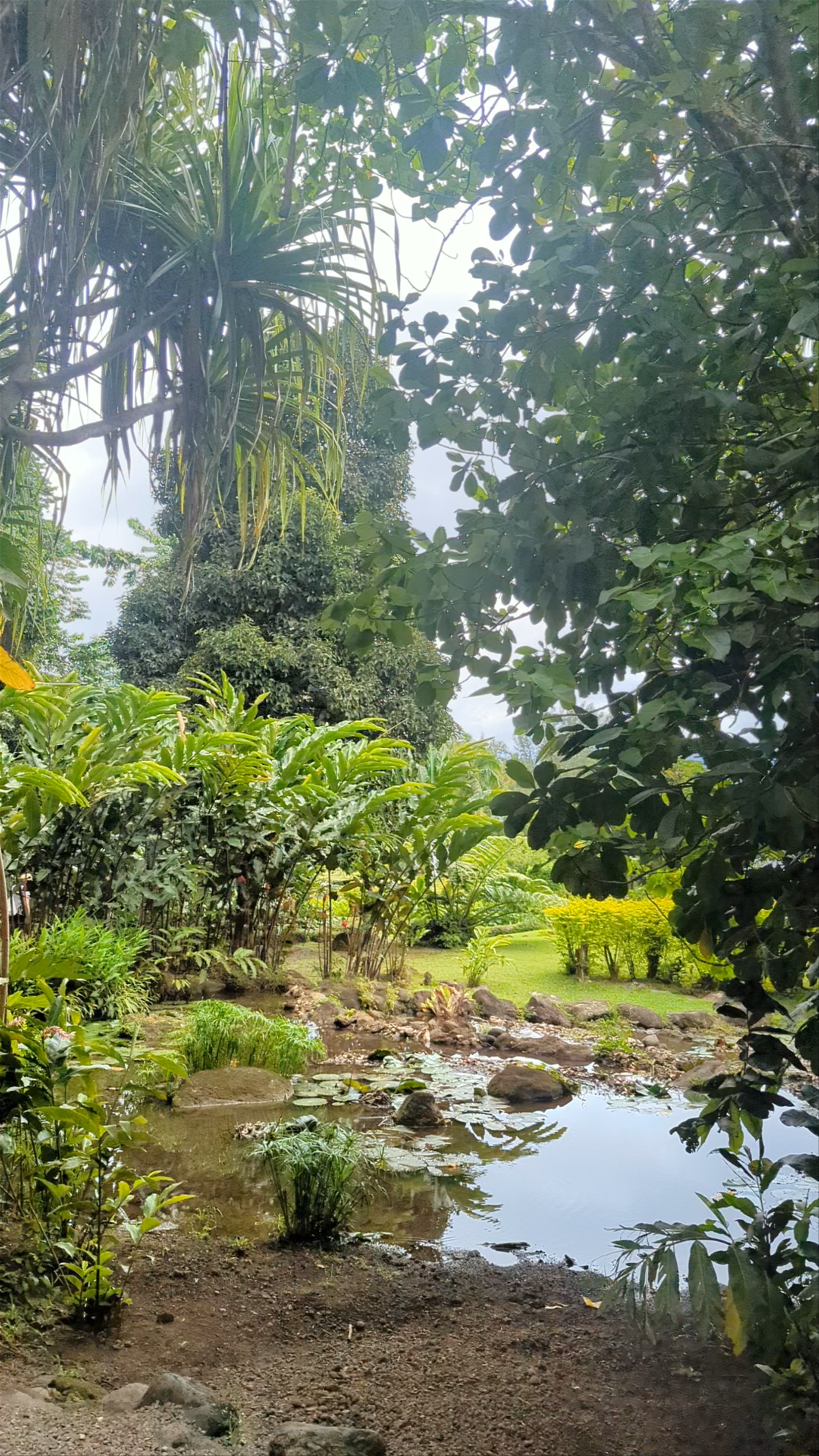 Water Gardens Vaipahi