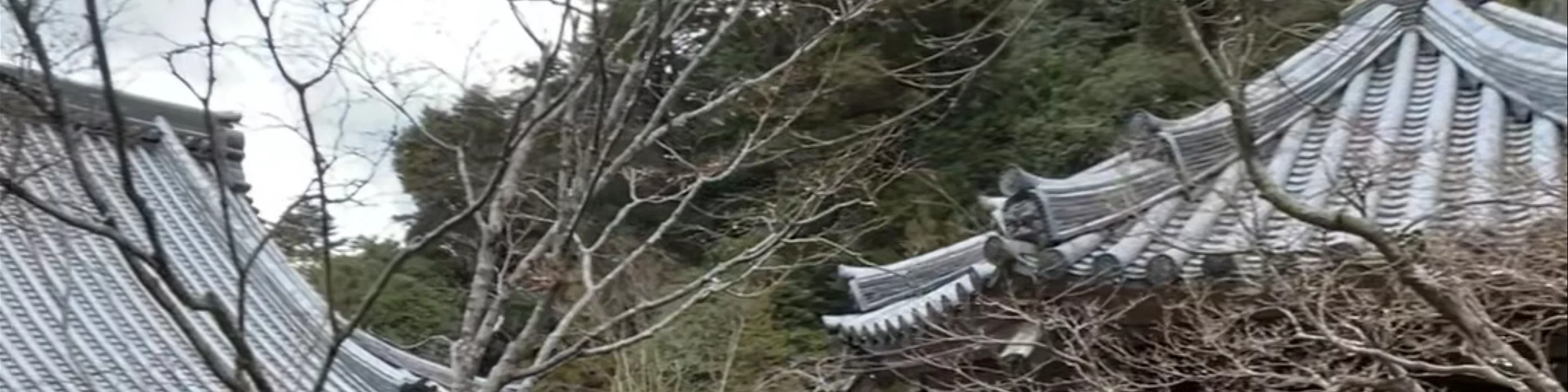 Daishoin