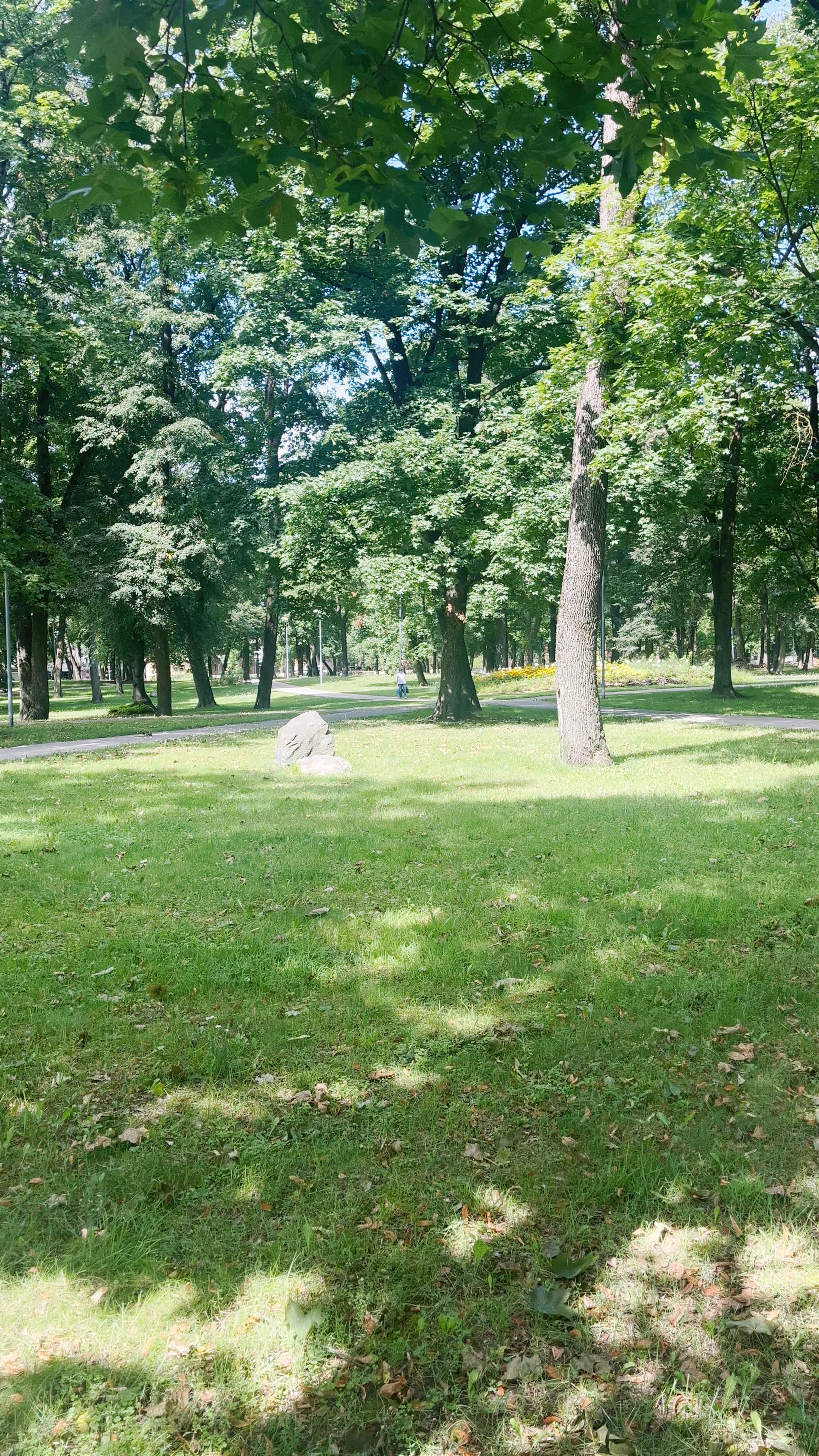 Тихий сад: Serene Park Escape in Riga’s Latgale Suburb
