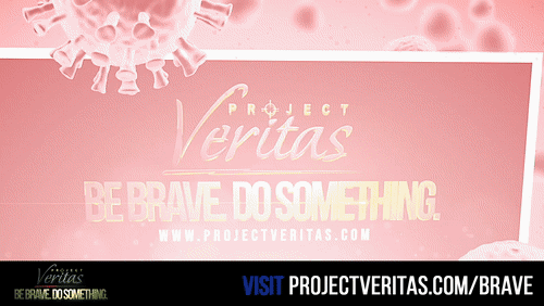 Video Thumbnail Loop