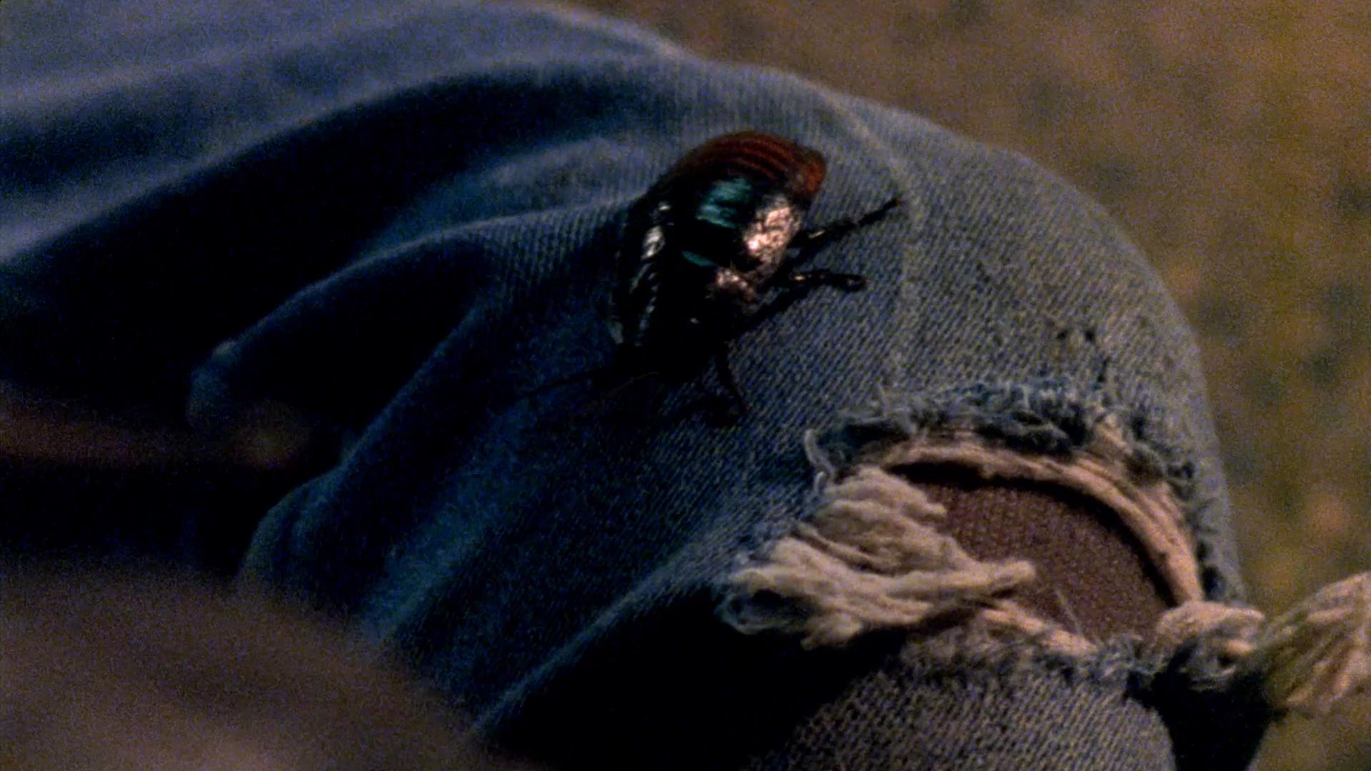 A man in a leather jacket stands near a red street kiosk at night when a beetle crawls onto his denim-clad leg. He pauses to observe the insect with a focused expression.