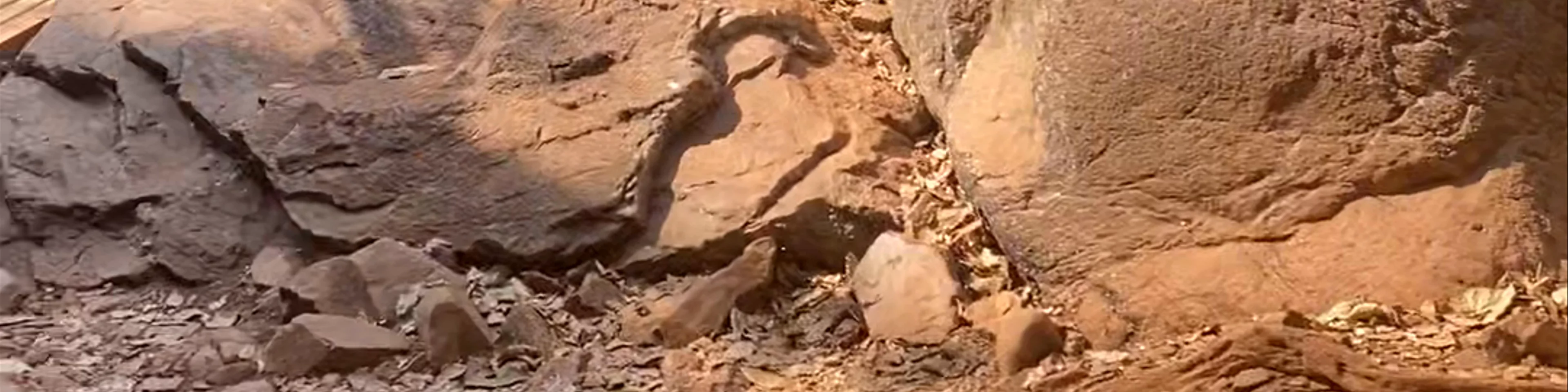 Dudhsagar Falls