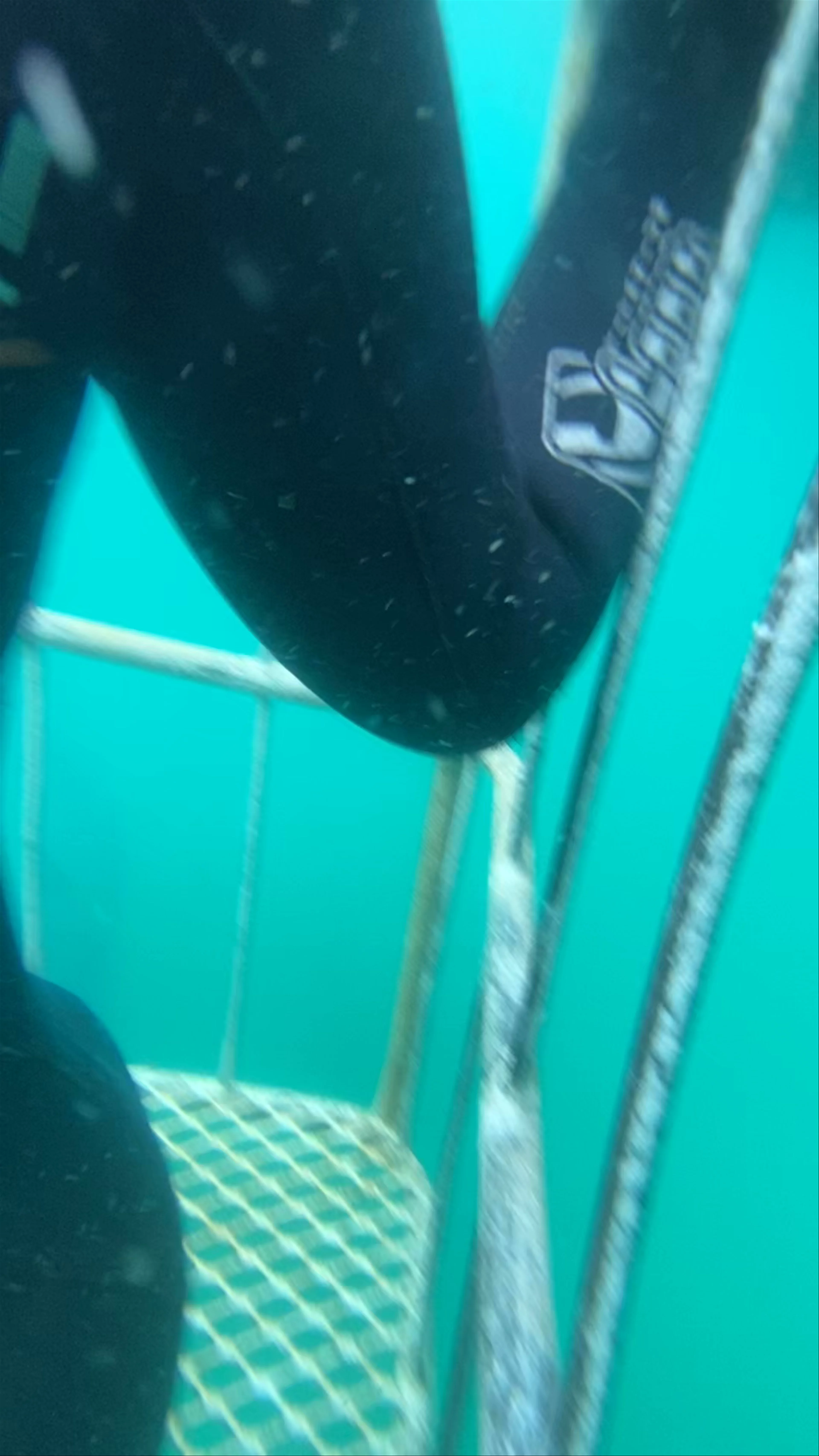 White Shark Africa, Church Street, Mossel Bay, South Africa