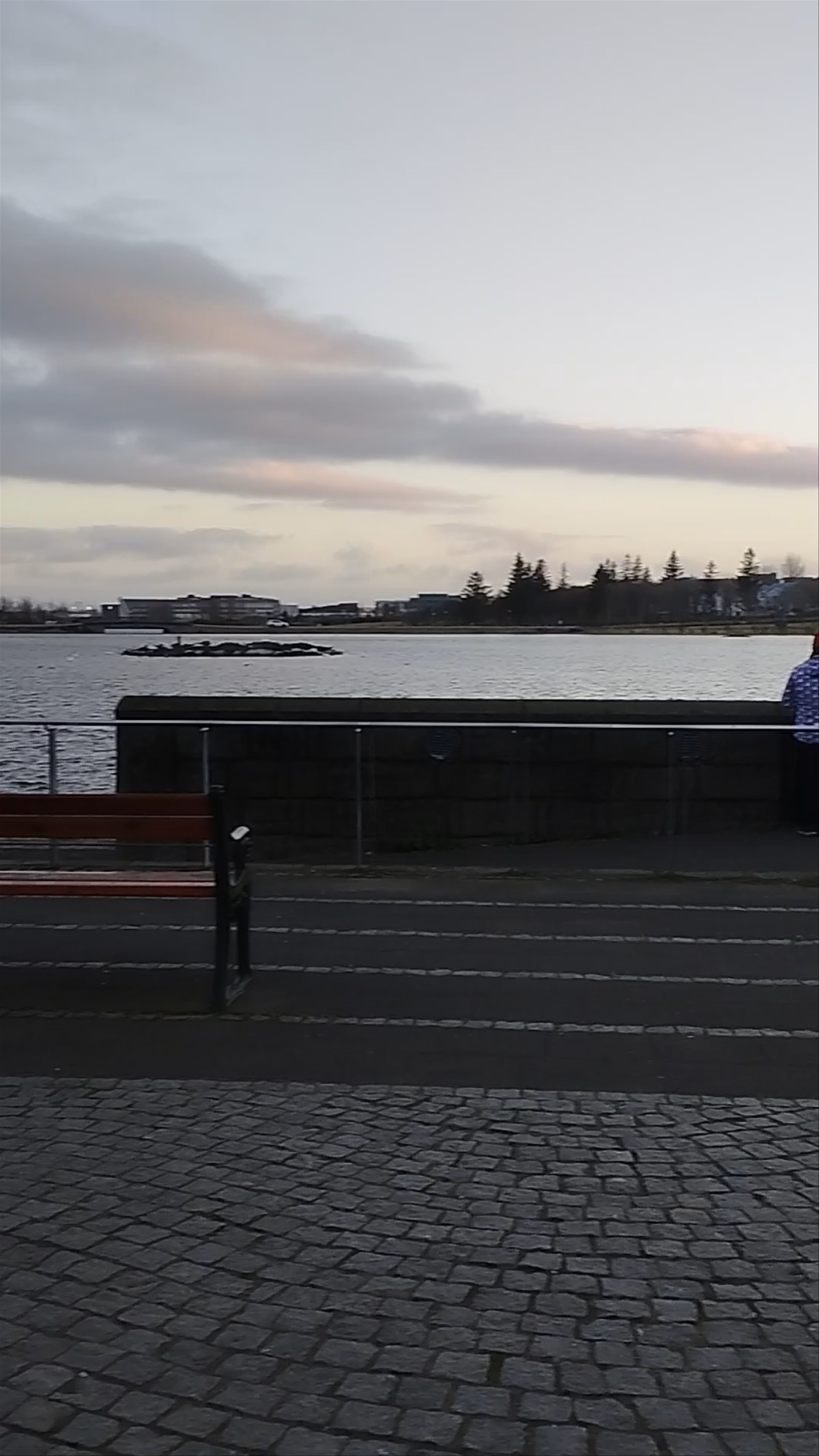 The Unknown Bureaucrat Sculpture in Reykjavík Iceland - Twilight Stroll