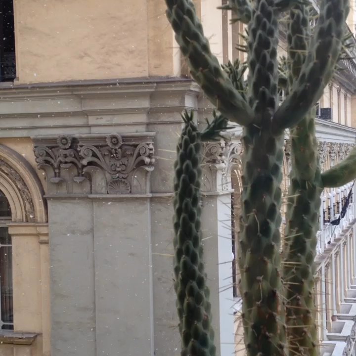 Piazza Bovio - La fioccata del 9 febbraio - Landmarks & Historical Buildings Near Me - Naples, NA
