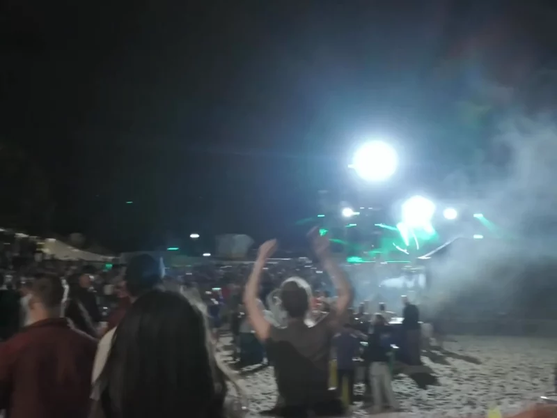 Festival Experience
