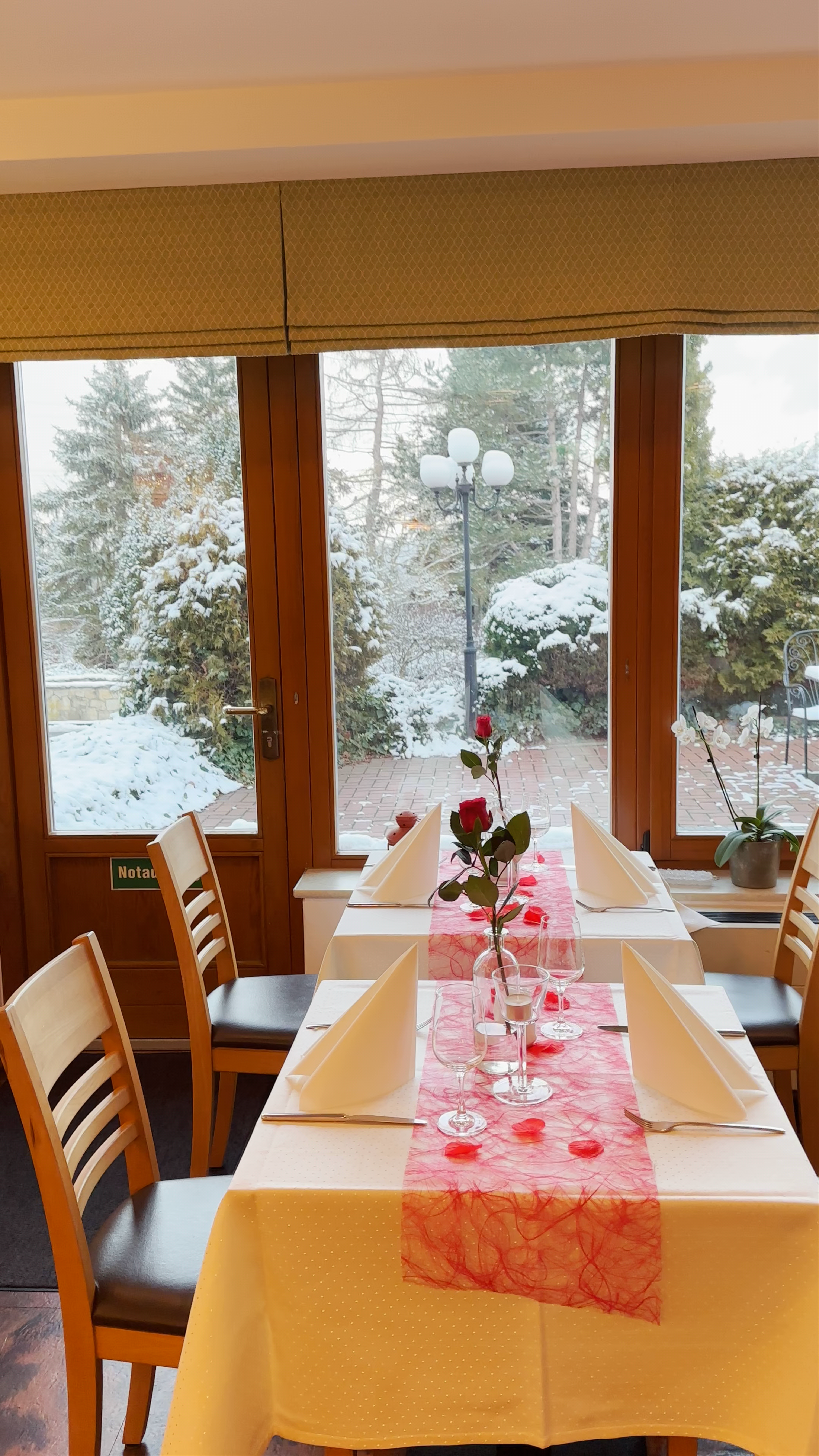 Cozy Winter Dining at Landhotel Dresden in Sachsen, Germany