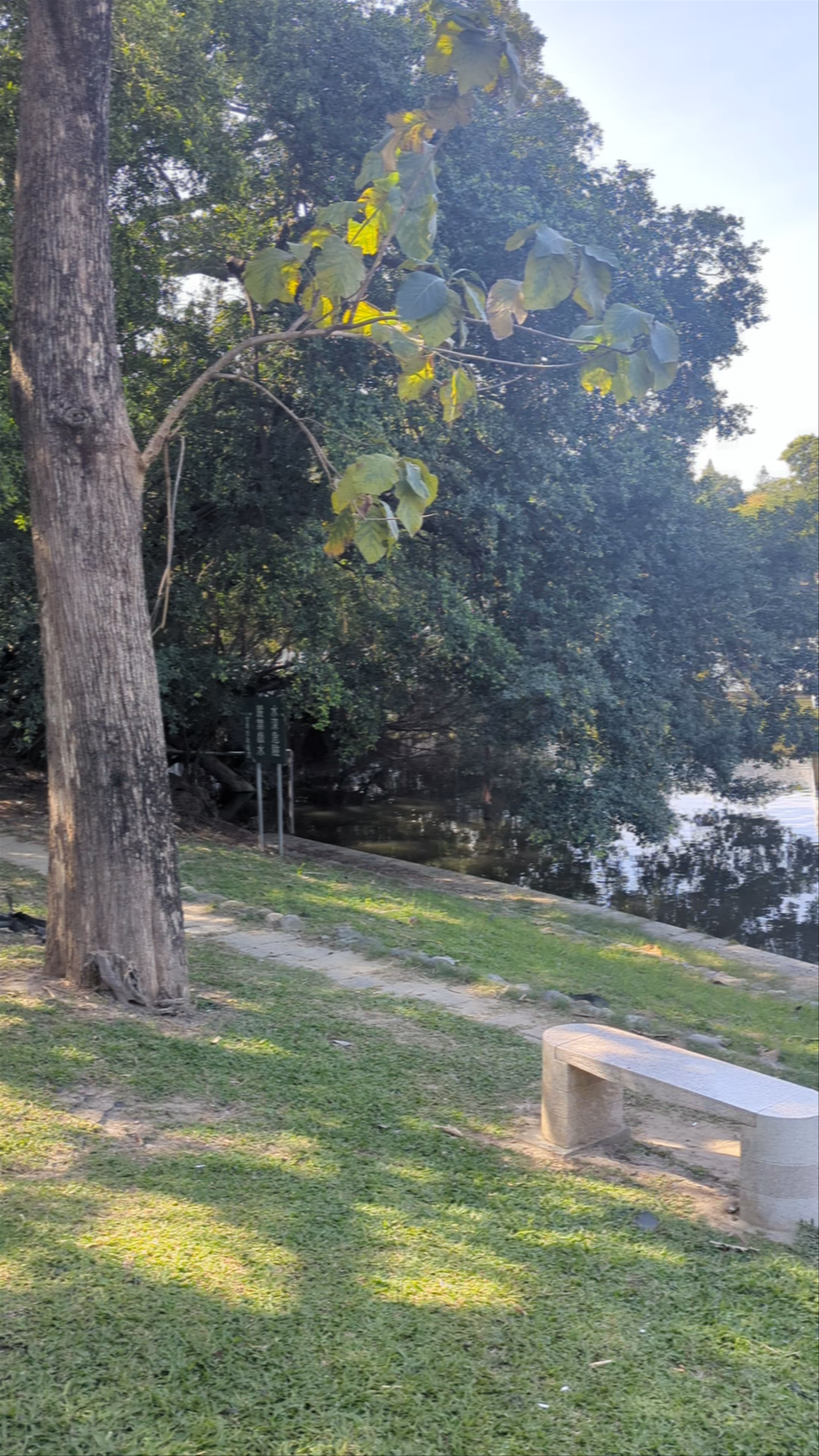 Serene Moments at Tainan Park in Taiwan