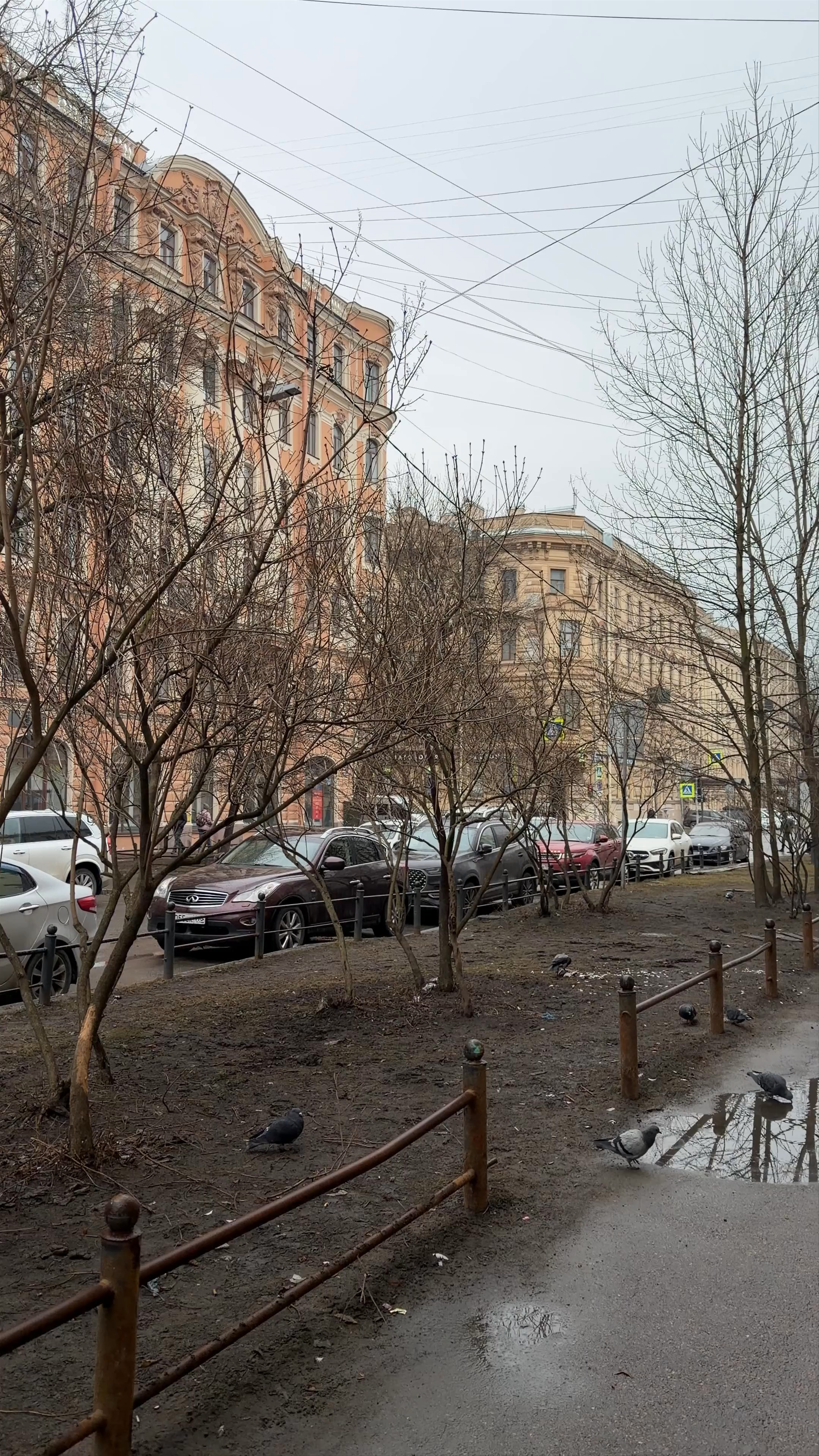 13-я линия Васильевского острова