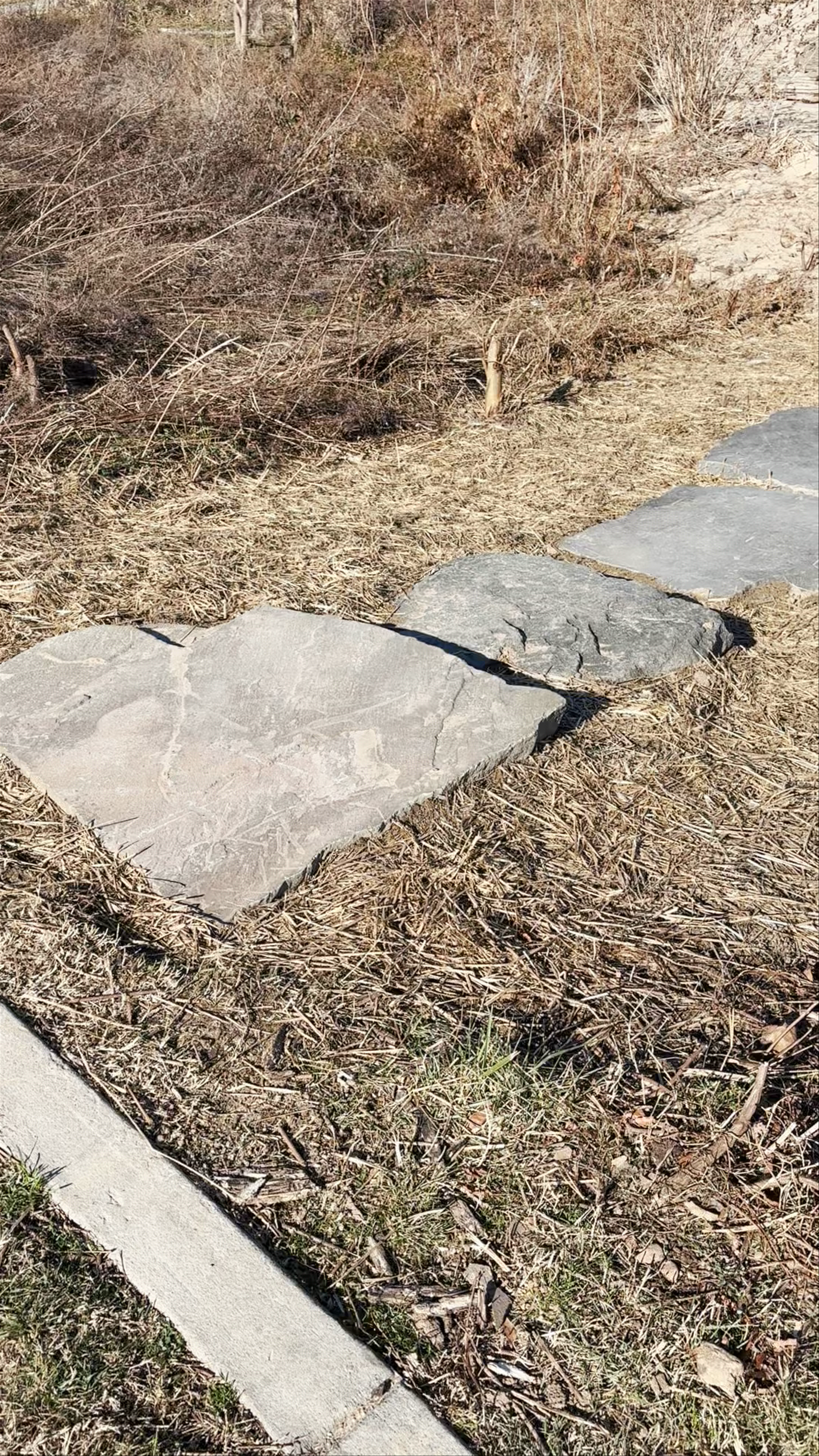 Ford's Landing Park