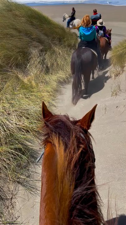 Five Brooks - Horseback Riding Near Me - Bodega Bay, California