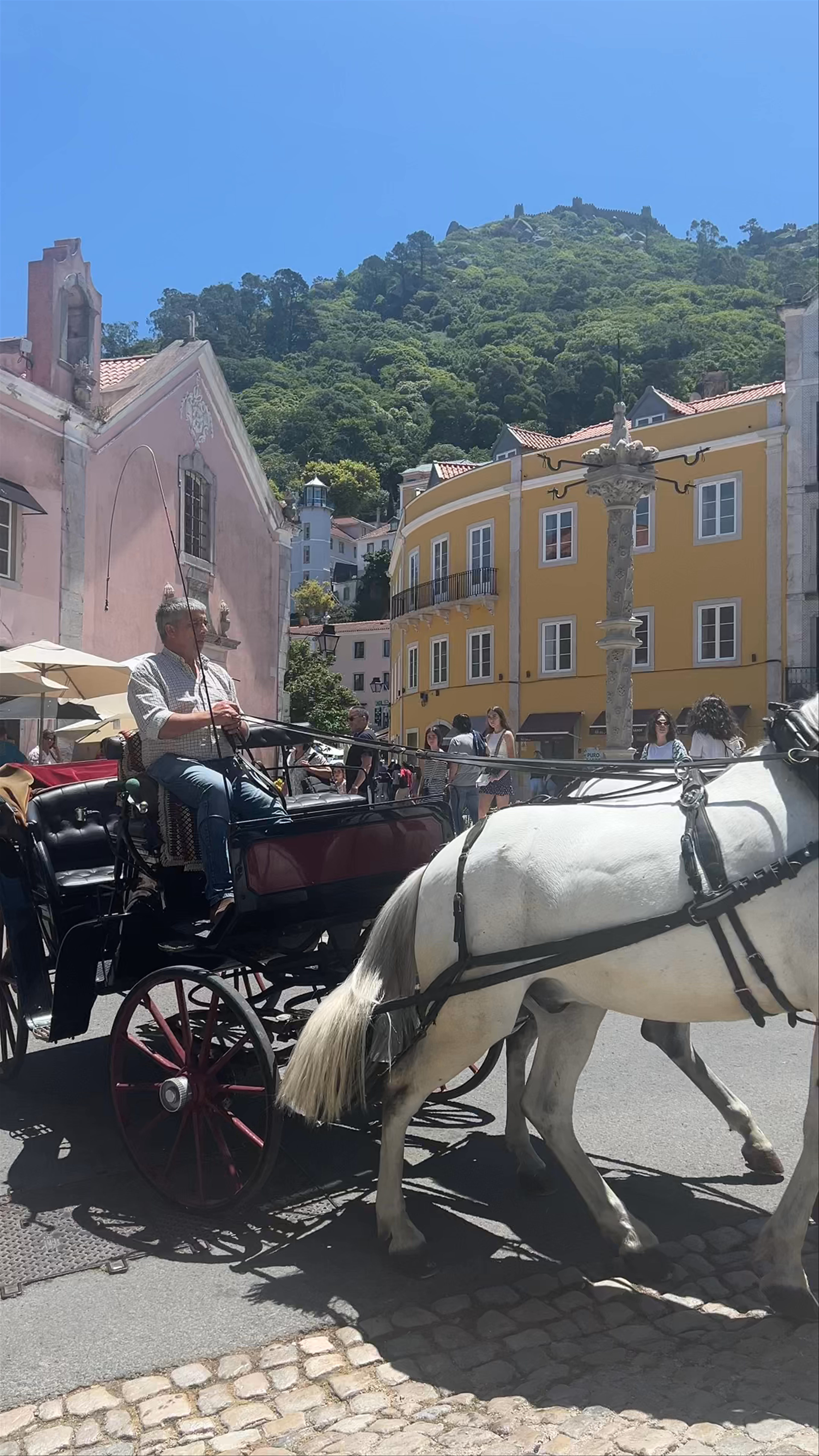 Historic Center of Sintra: Charming Horse-Drawn Carriage Ride