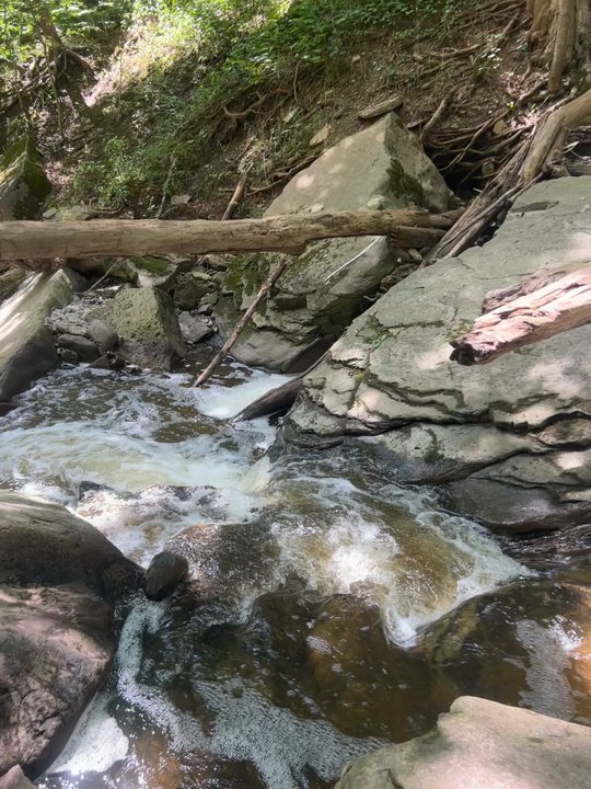 Great Falls - Parks Near Me