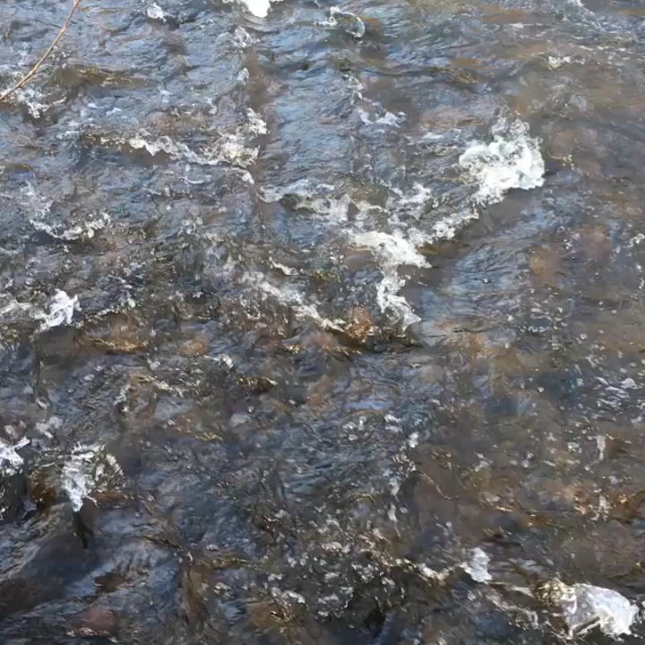 The Kaaterskill - Our park like private trails on The Kaaterskill Creek - Venues & Event Spaces Near Me - Catskill, New York