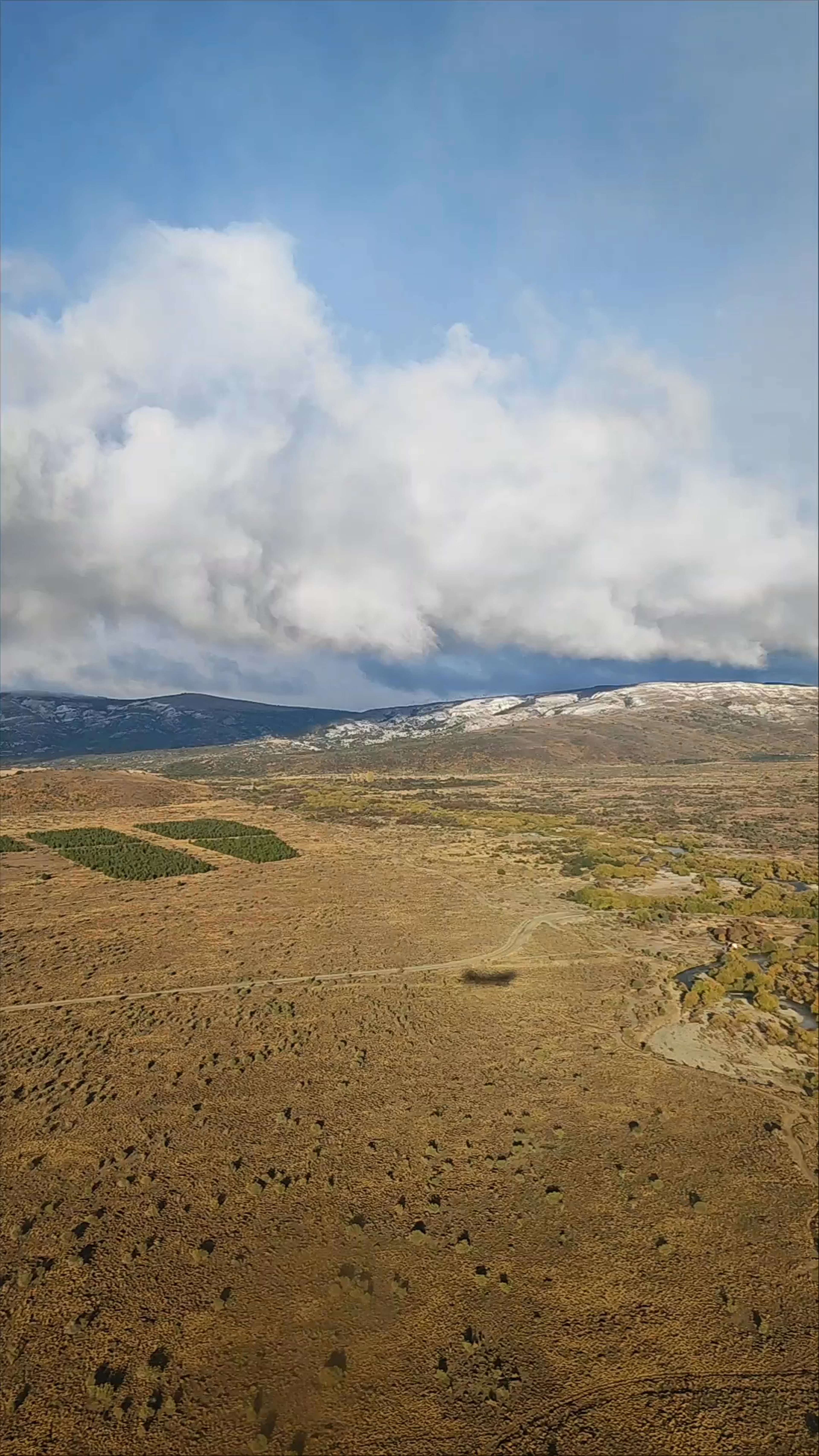 Aeropuerto Internacional Teniente Luis Candelaria