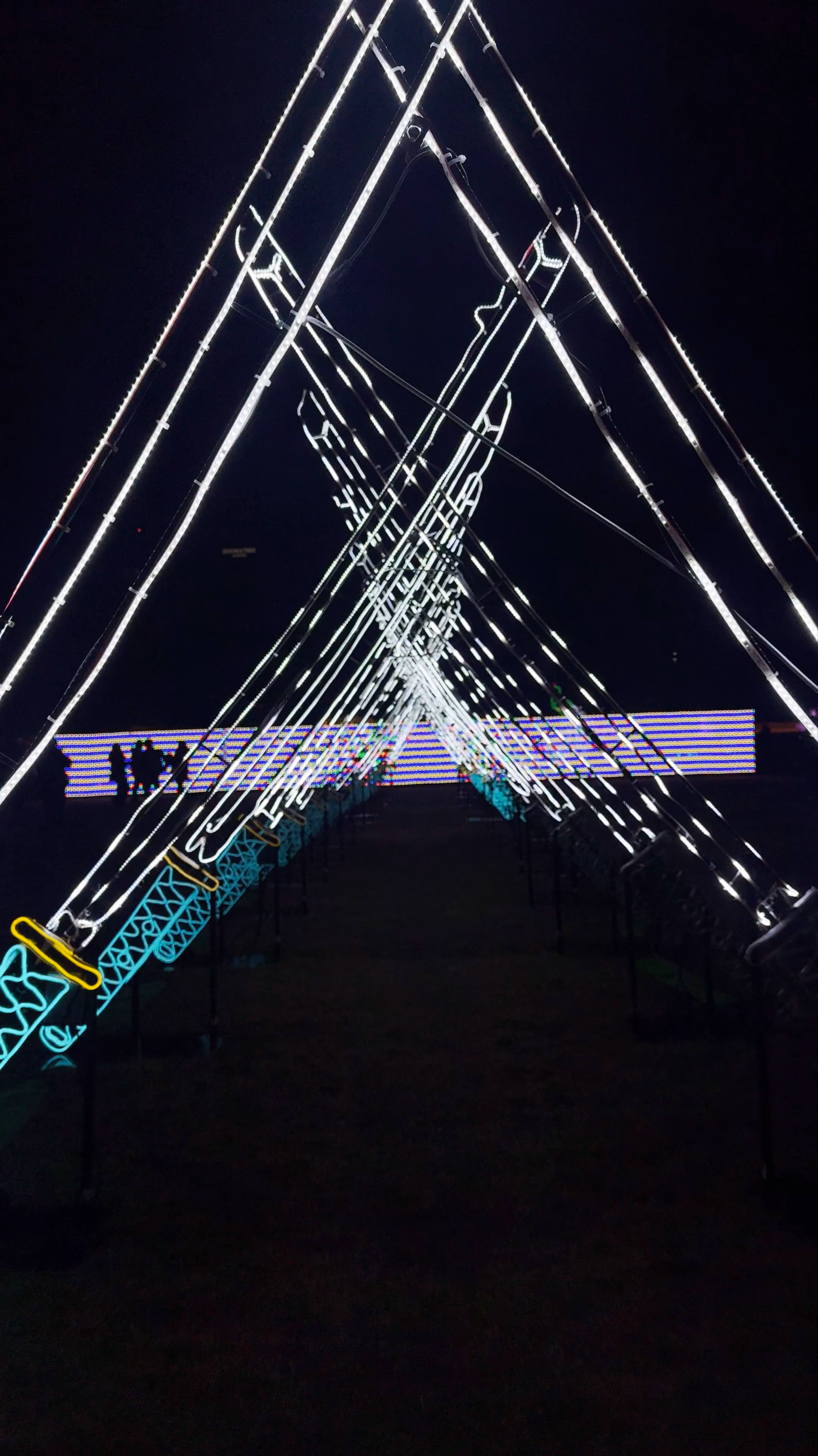 Nishinomaru Garden Illuminated Night Walk in Osaka