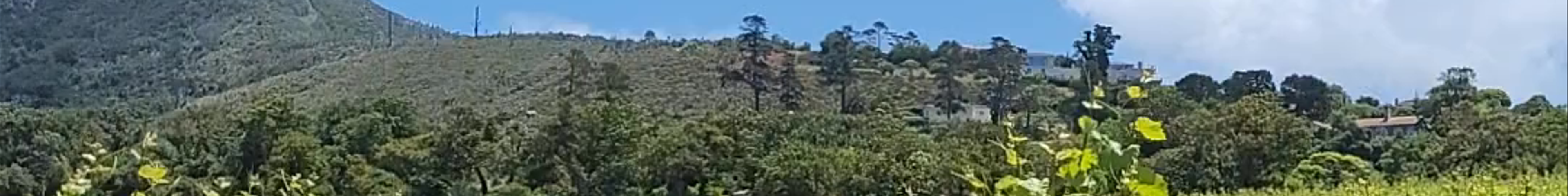 Tours & experiences in Western Cape