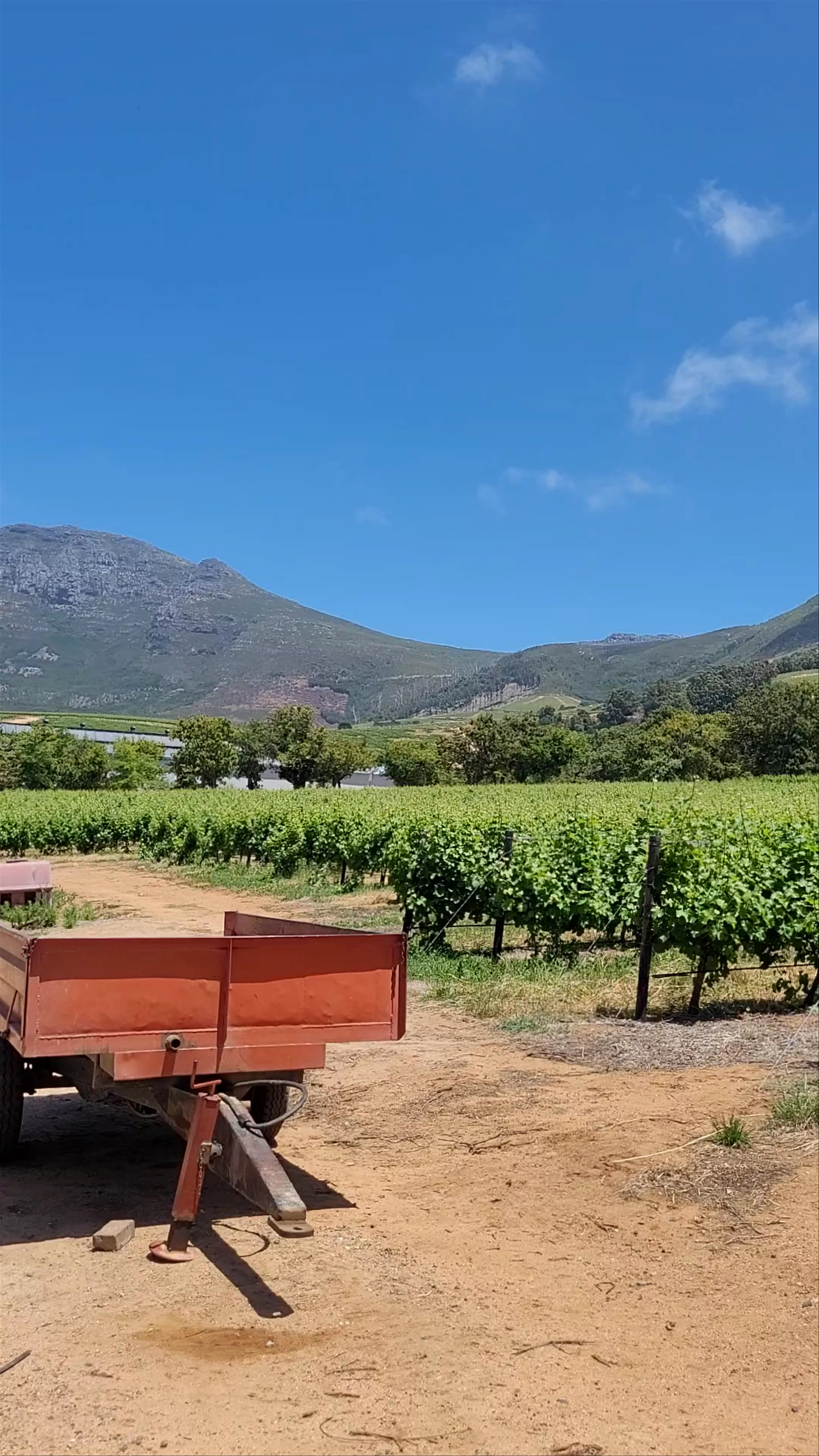 Groot Constantia Estate, Groot Constantia Road, Constantia, Cape Town, South Africa