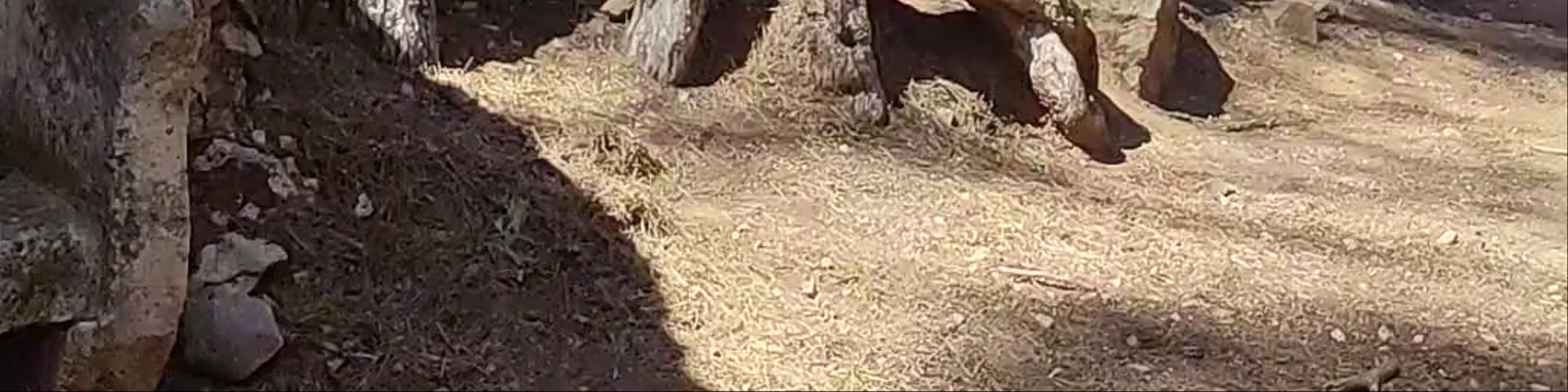 Sierra Espuña