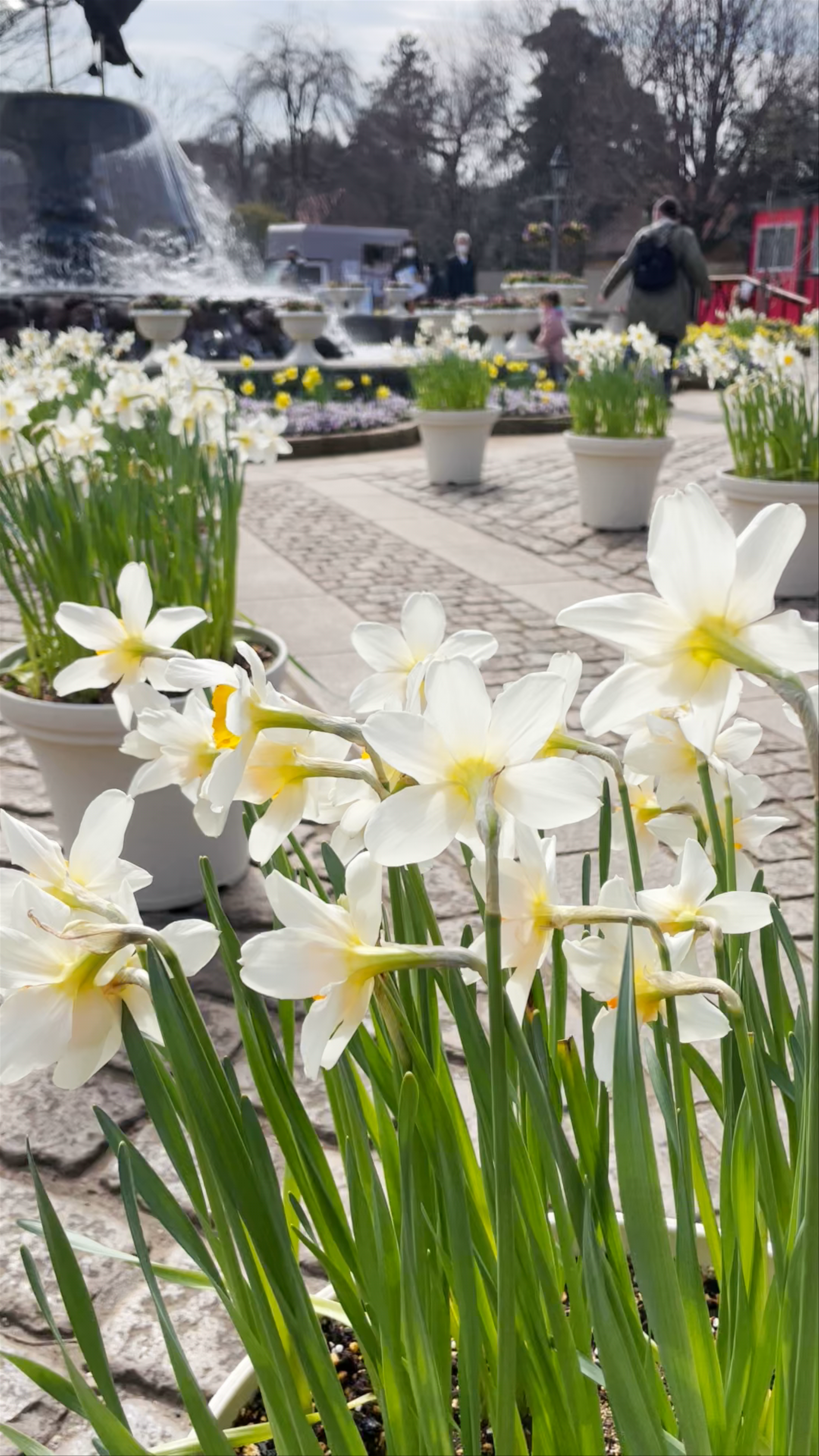 Funabashi Andersen Park