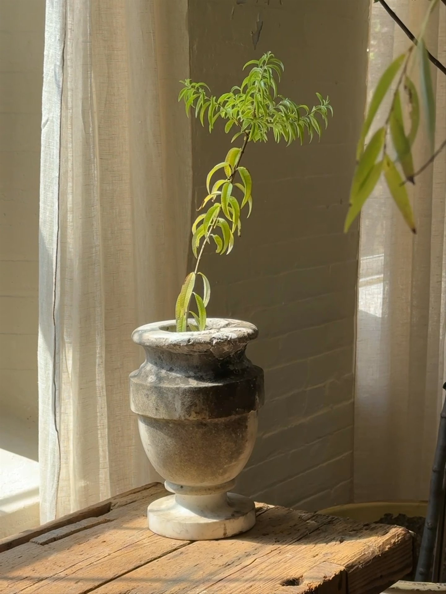 Marble Garden Urn