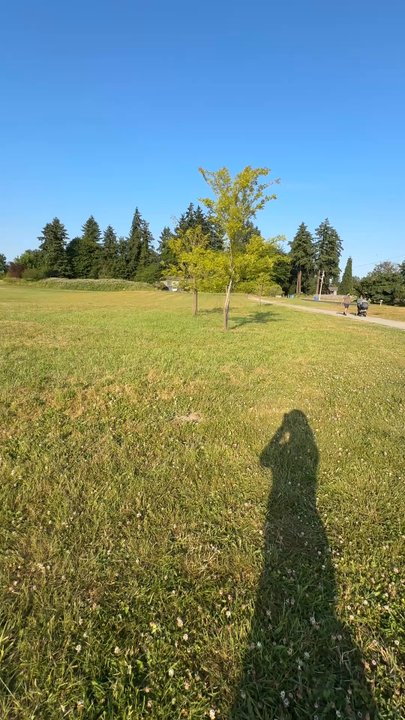 Edgewood Community Park - 6/15/25 - Parks Near Me - Edgewood, CHH