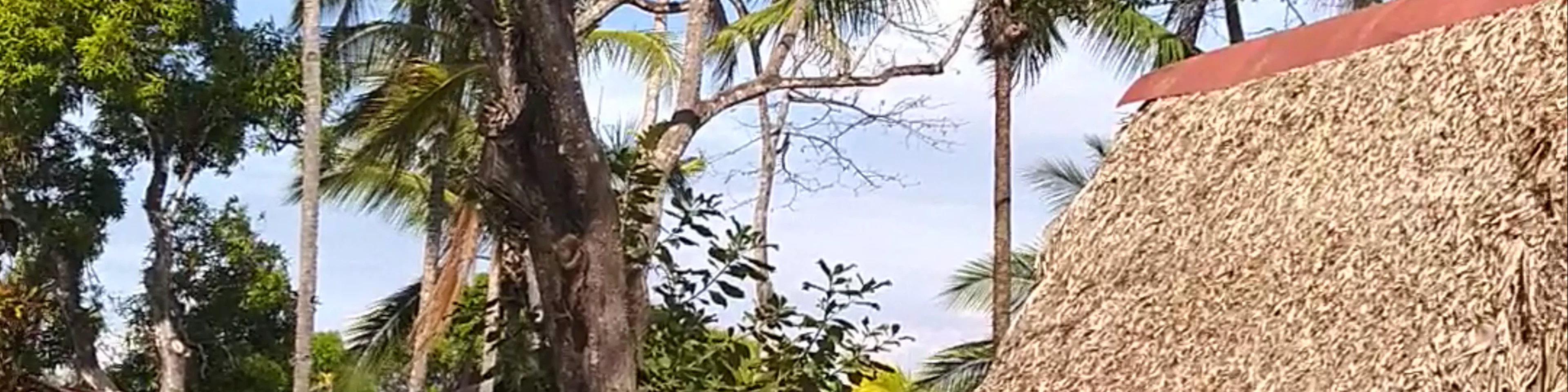Rancho Estero