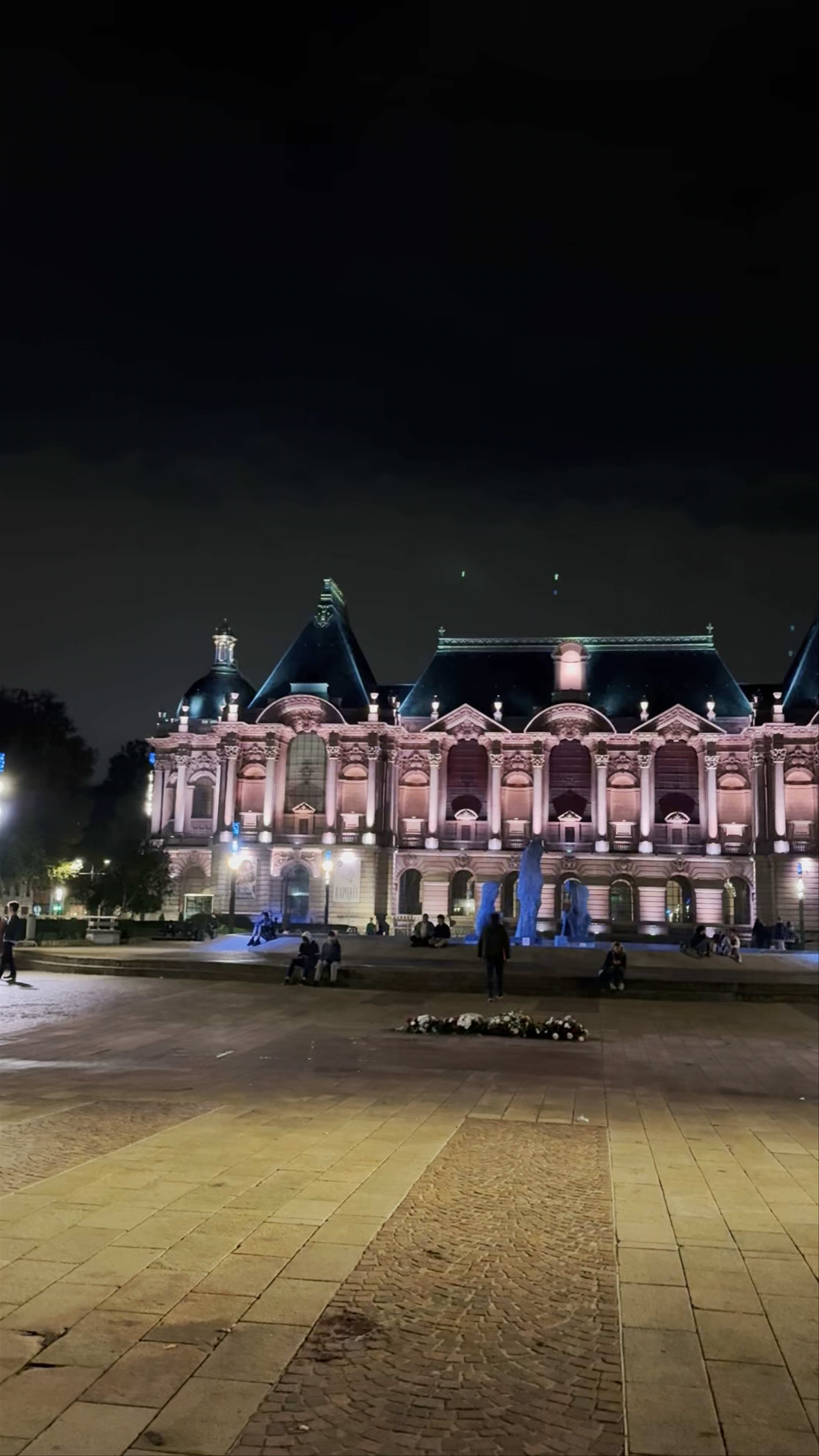 Nighttime Magic at Place de la République, Lille