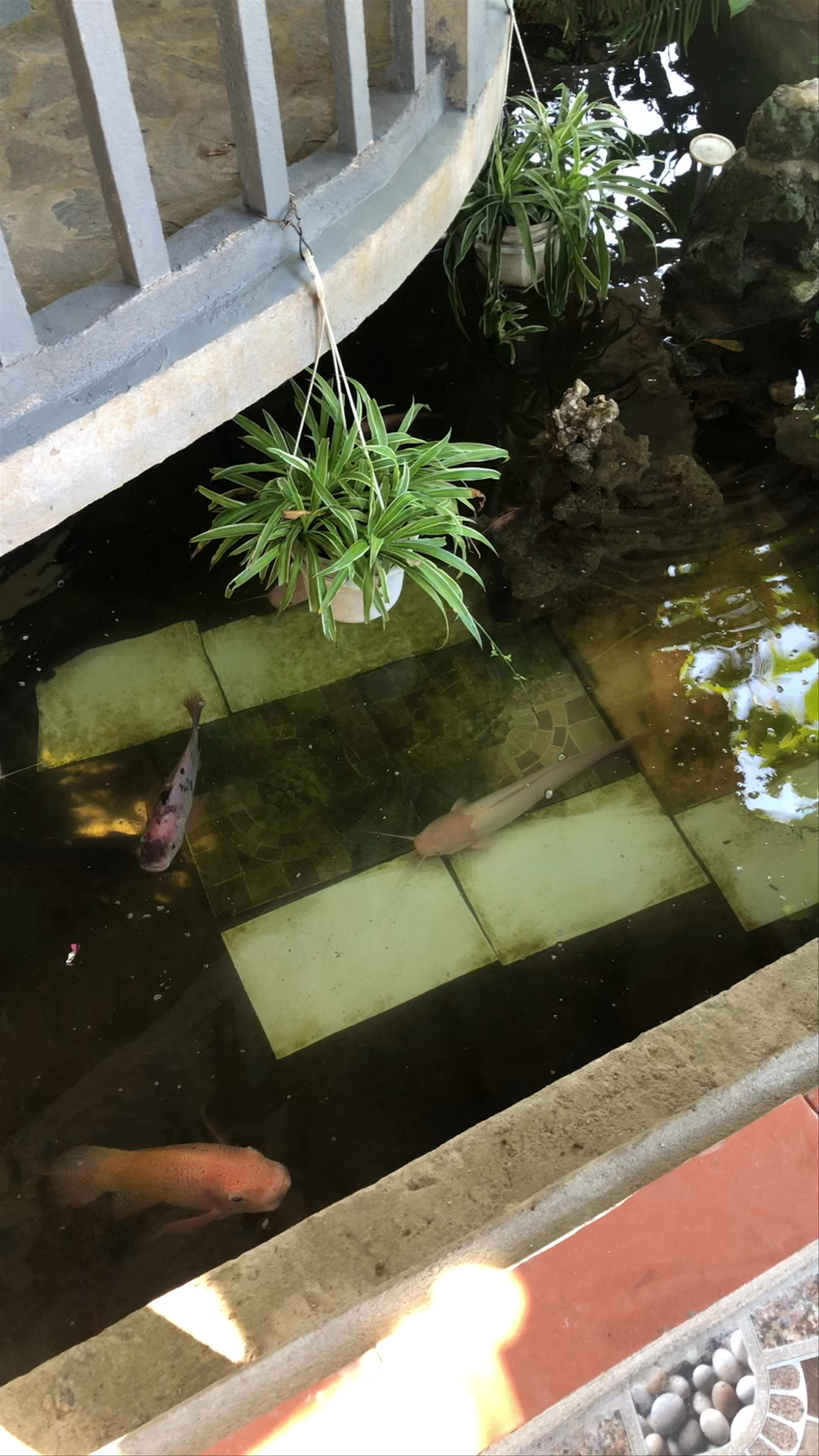 Đường Phú Hương