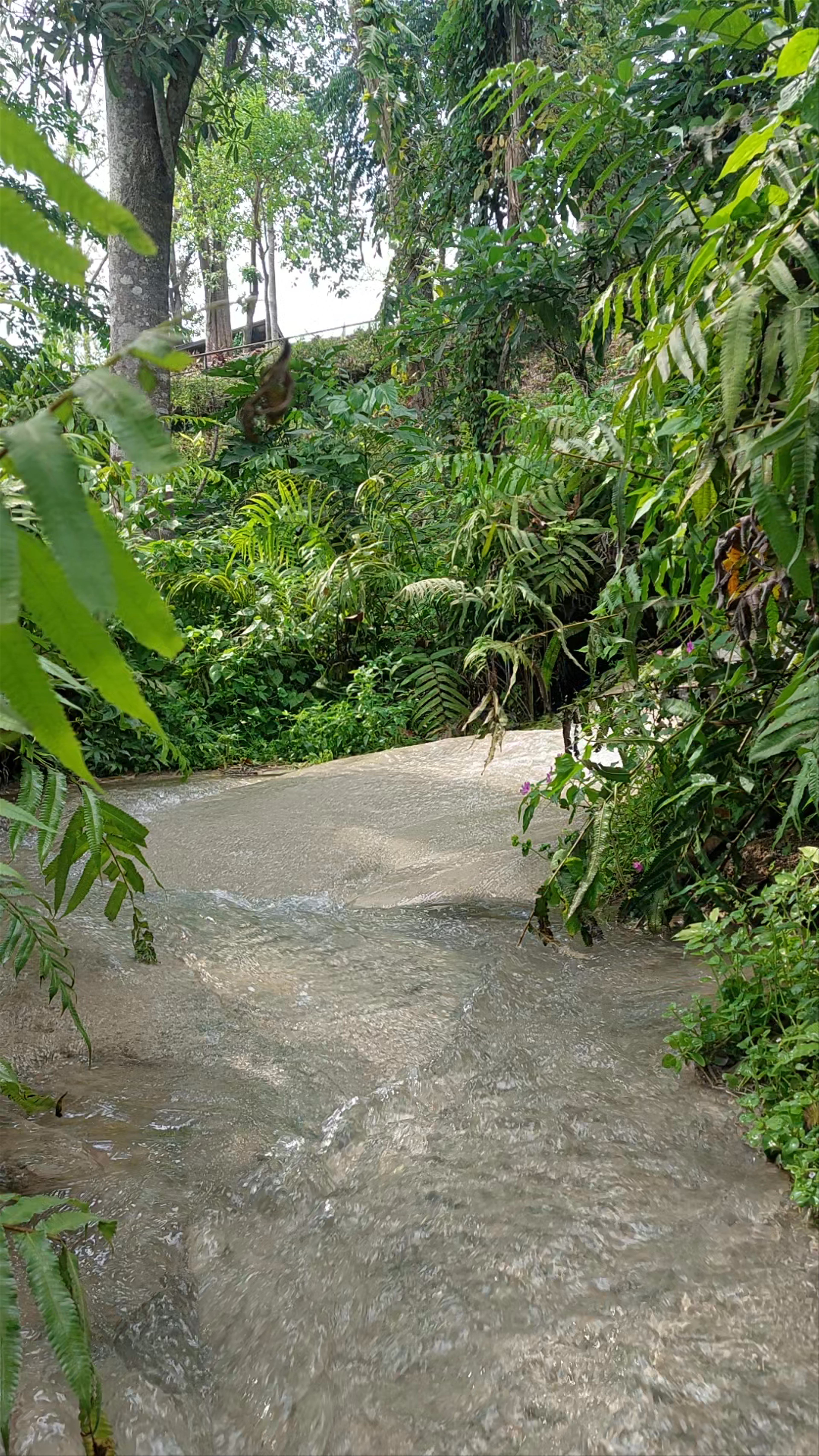 Buatong Waterfall - A Natural Spa Experience in Chiang Mai, Thailand