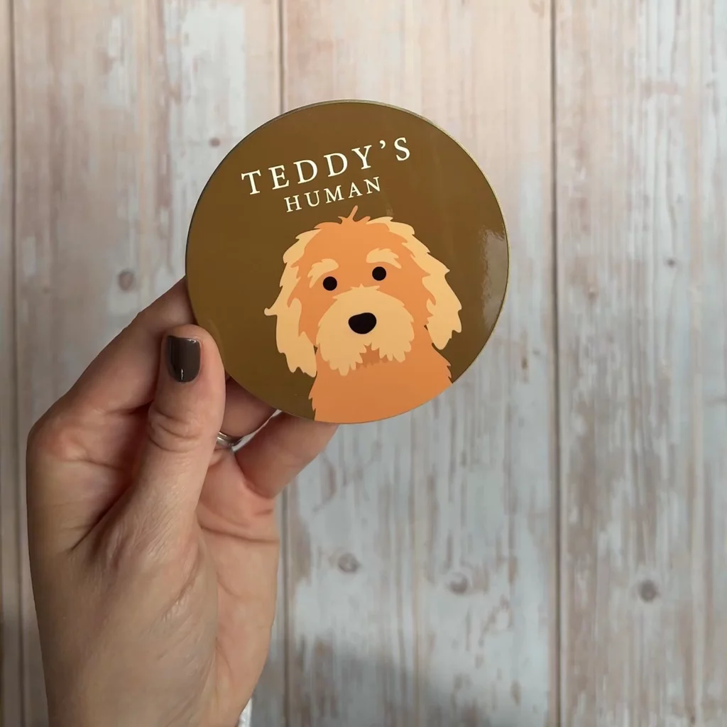 Product video