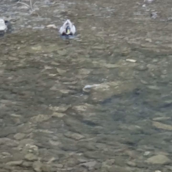 Video thumbnail 5 more videos