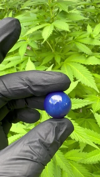 Preview pic of 16mm Blue Slyme Marble / Cap