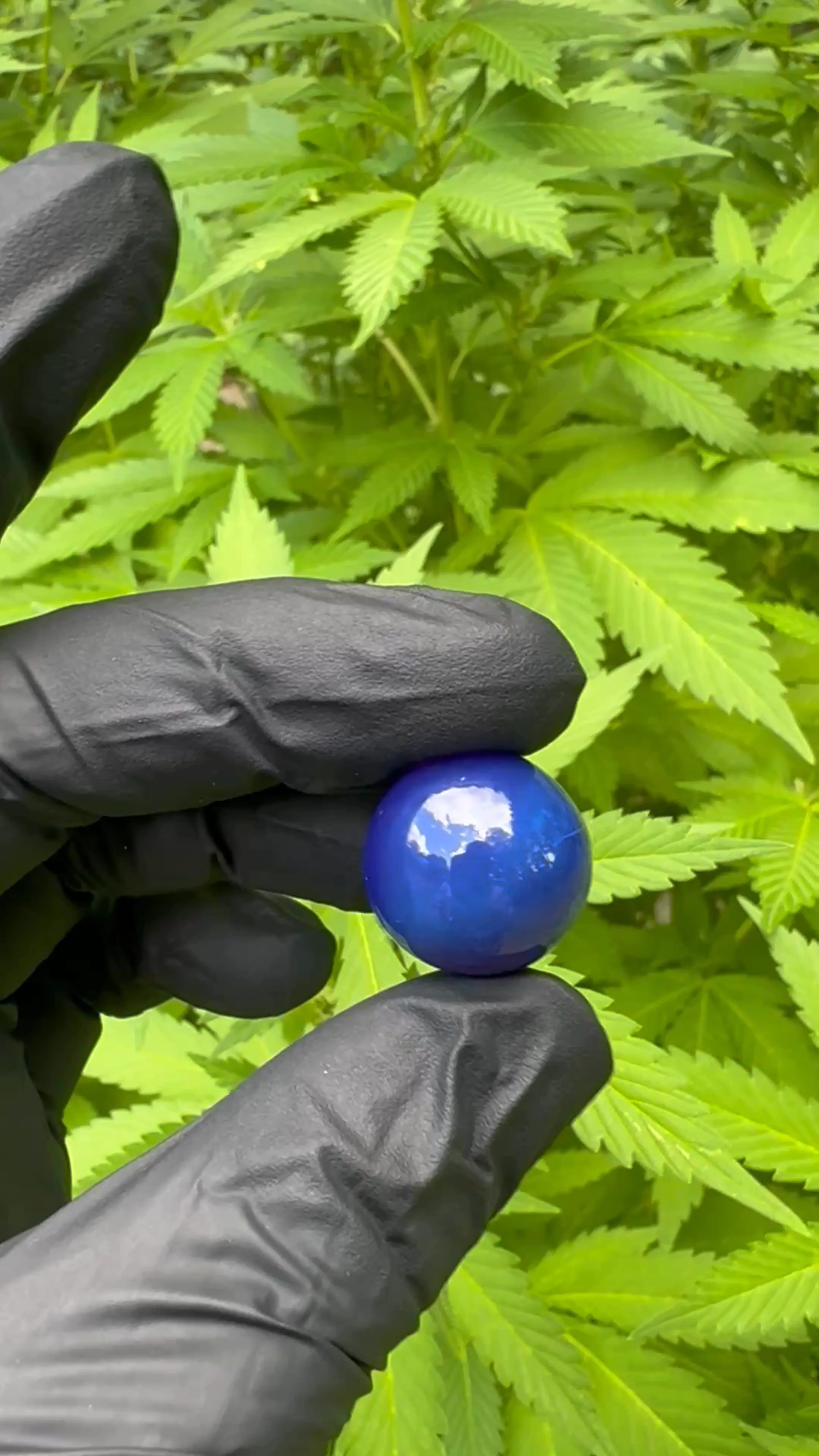 Preview pic of 16mm Blue Slyme Marble / Cap