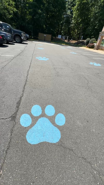 In Memoriam Pet Services - Paw prints - Pet Cremation Services Near Me - Chantilly, Virginia
