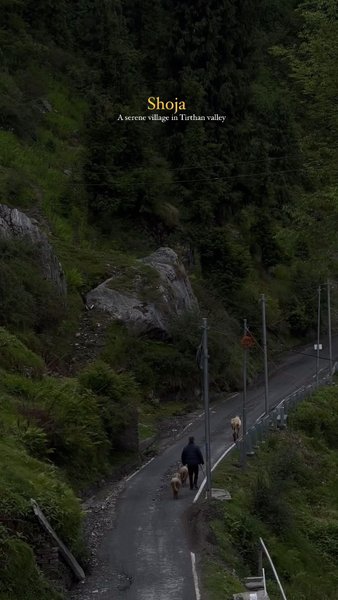 Photo of Exploring shoja vill