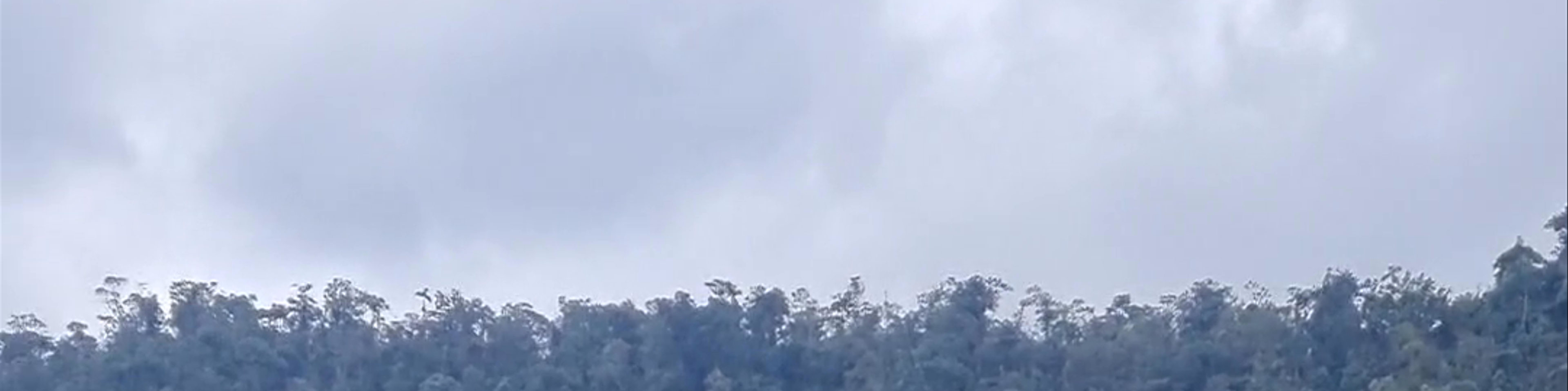 Jardín