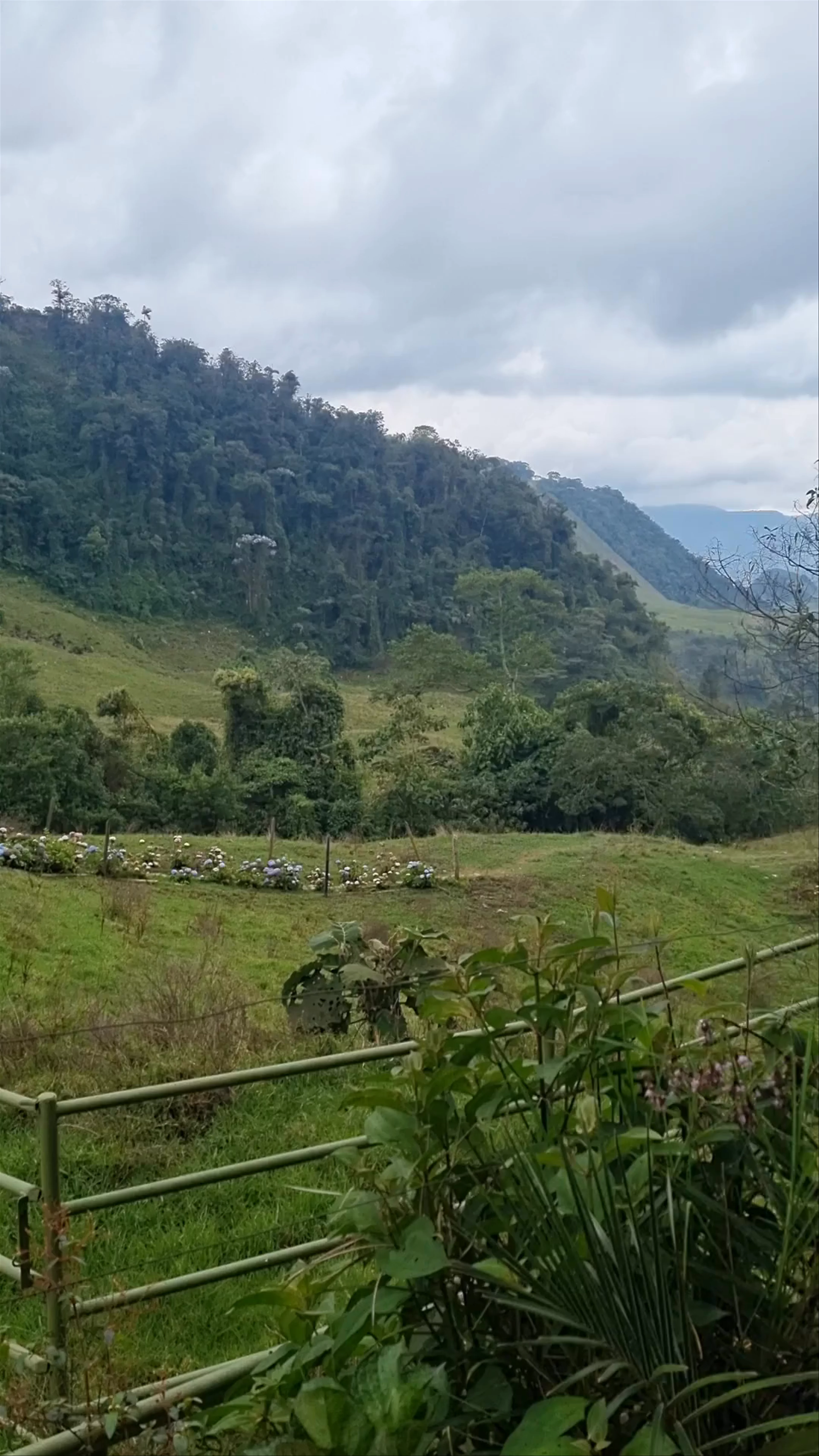 Ingreso ruta Cueva del Esplendor