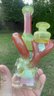 Small image 5