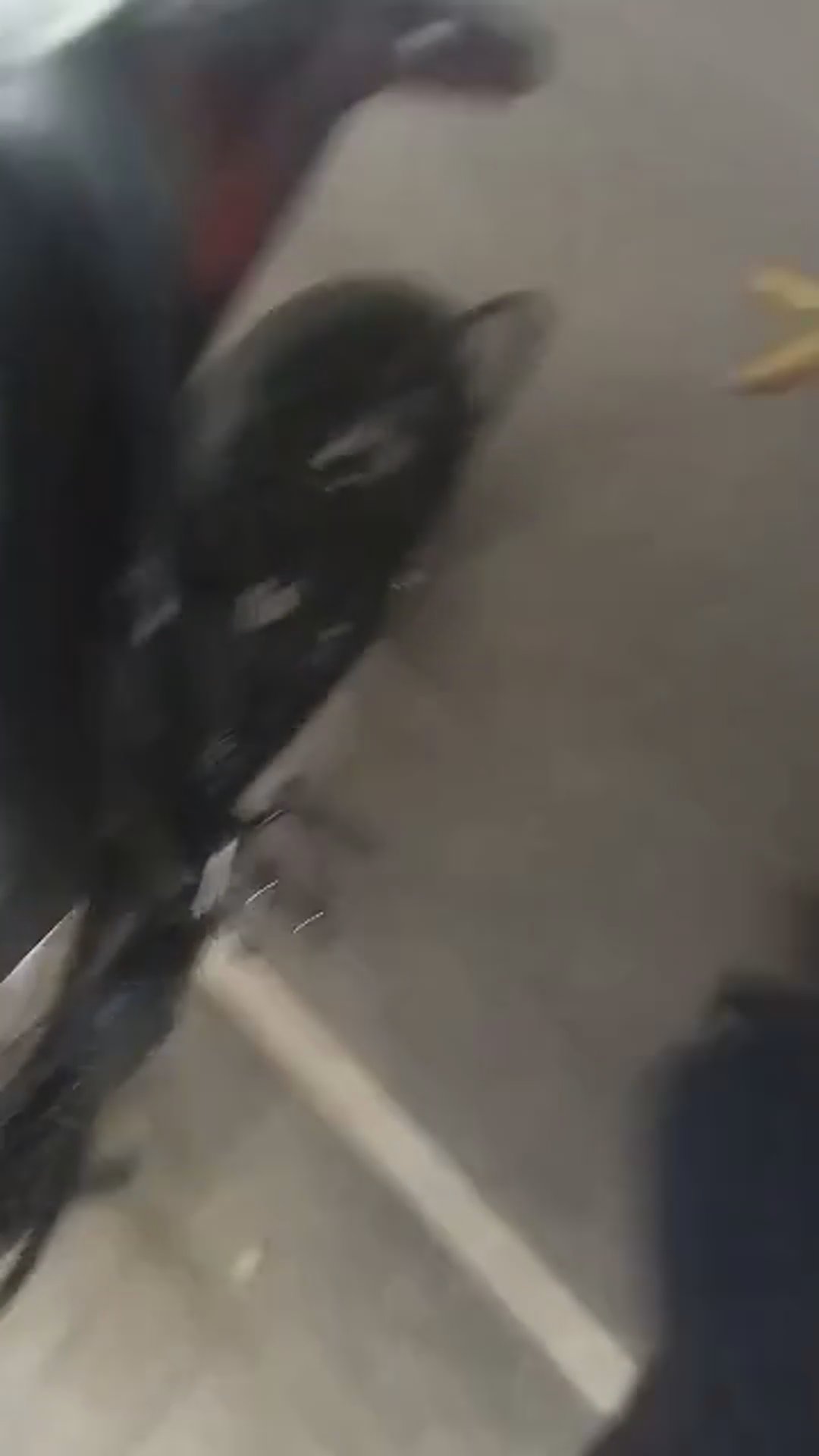 Walk-around video thumbnail